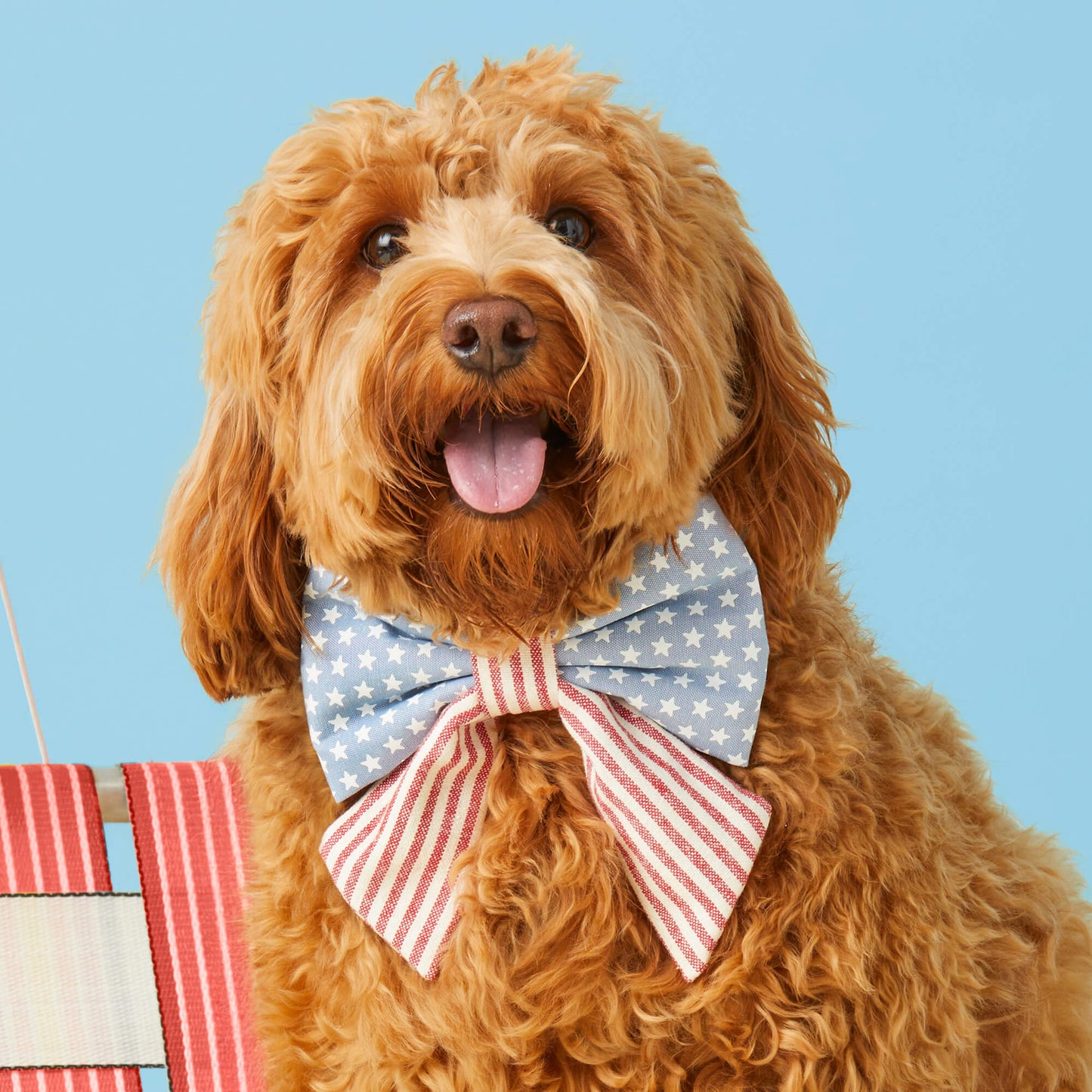 Stars & Stripes Lady Dog Bow by The Foggy Dog