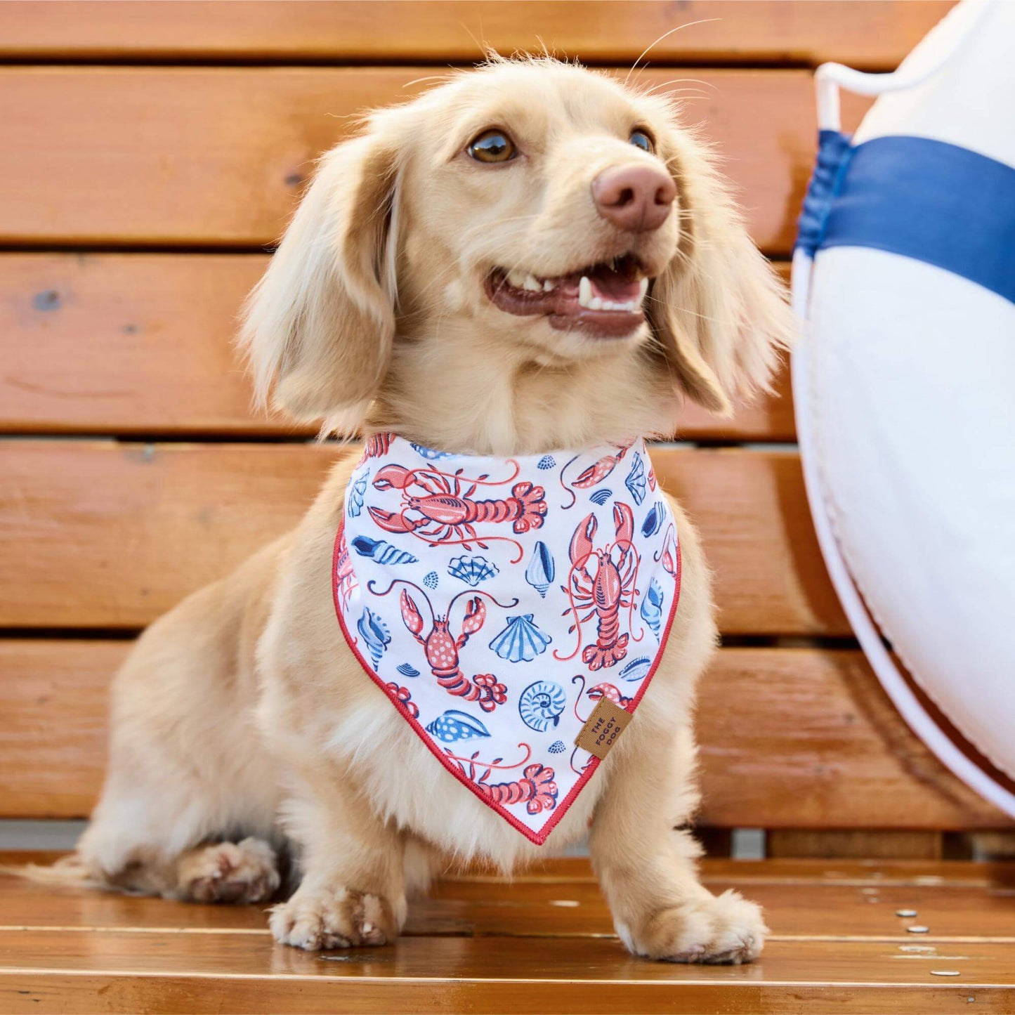 Lobster Landing Dog Bandana by The Foggy Dog + Printfresh
