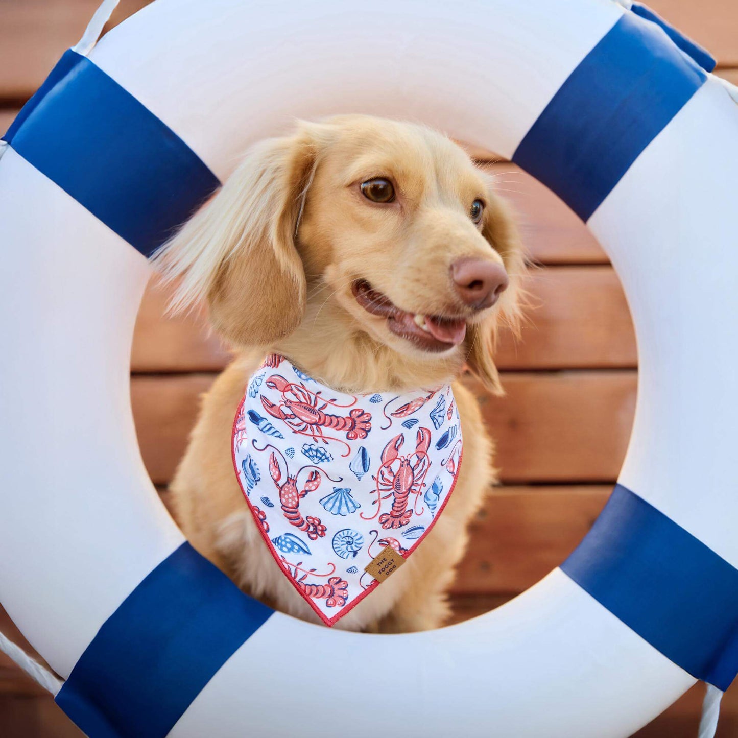 Lobster Landing Dog Bandana by The Foggy Dog + Printfresh