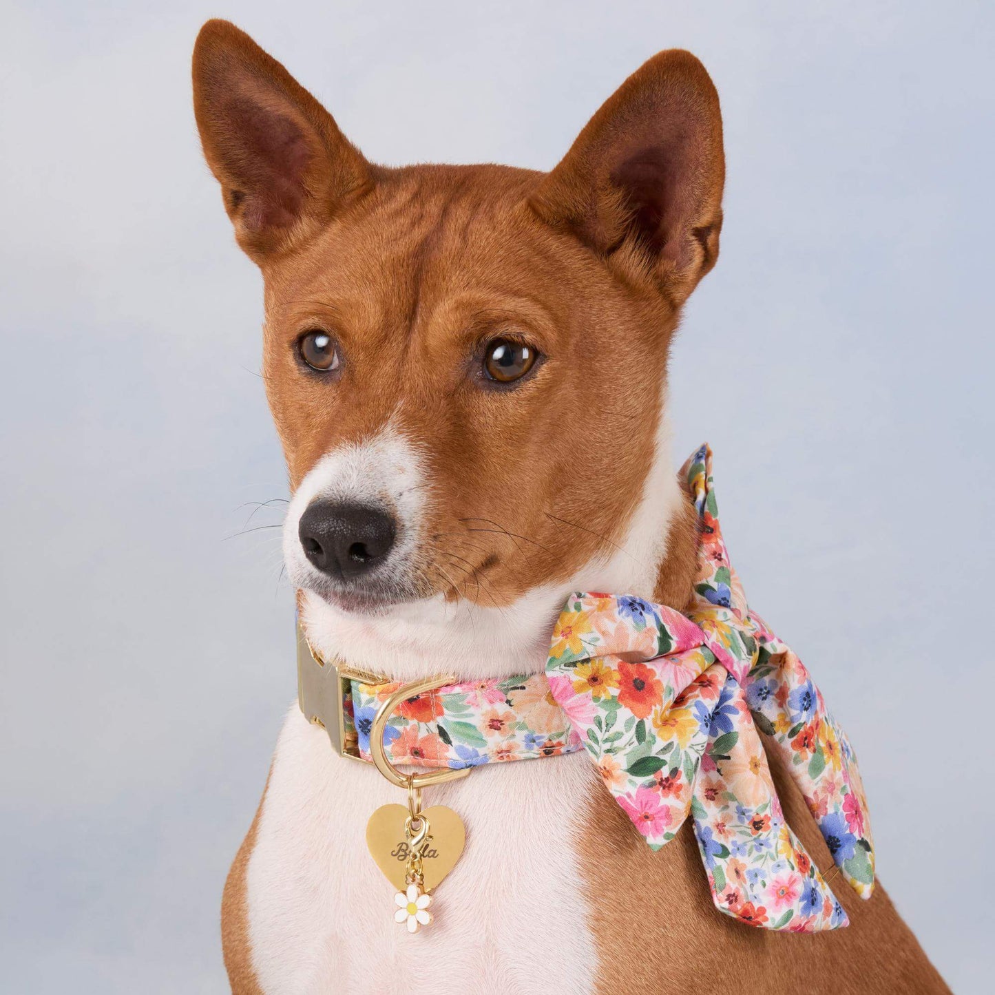 Margaux Lady Dog Bow by The Foggy Dog