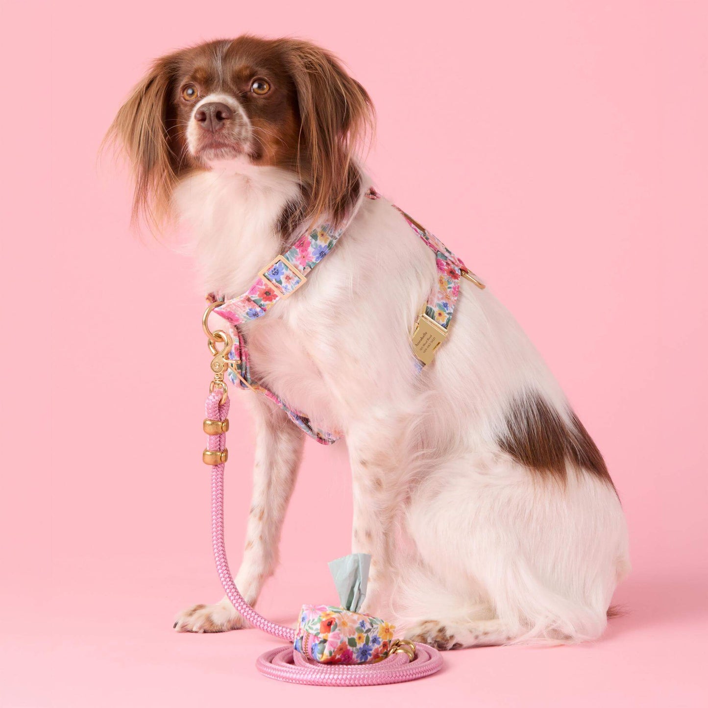 Margaux Dog Harness by The Foggy Dog