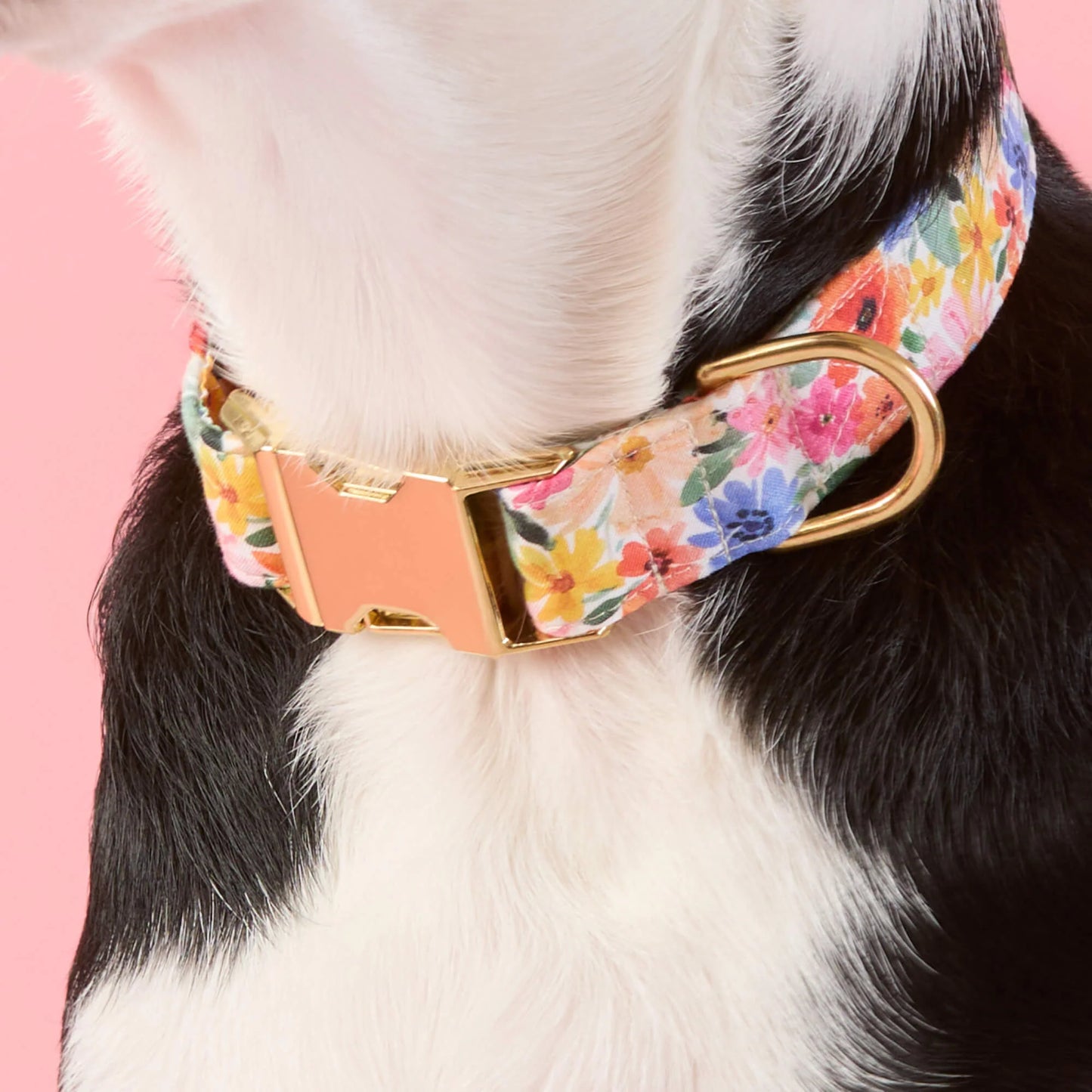 Margaux Dog Collar by The Foggy Dog