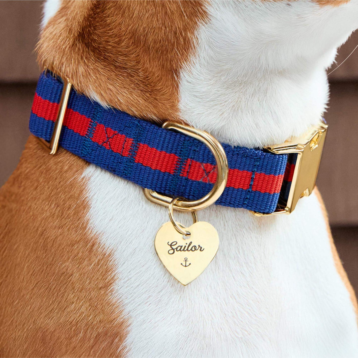 Mariner Striped Webbing Dog Collar by The Foggy Dog