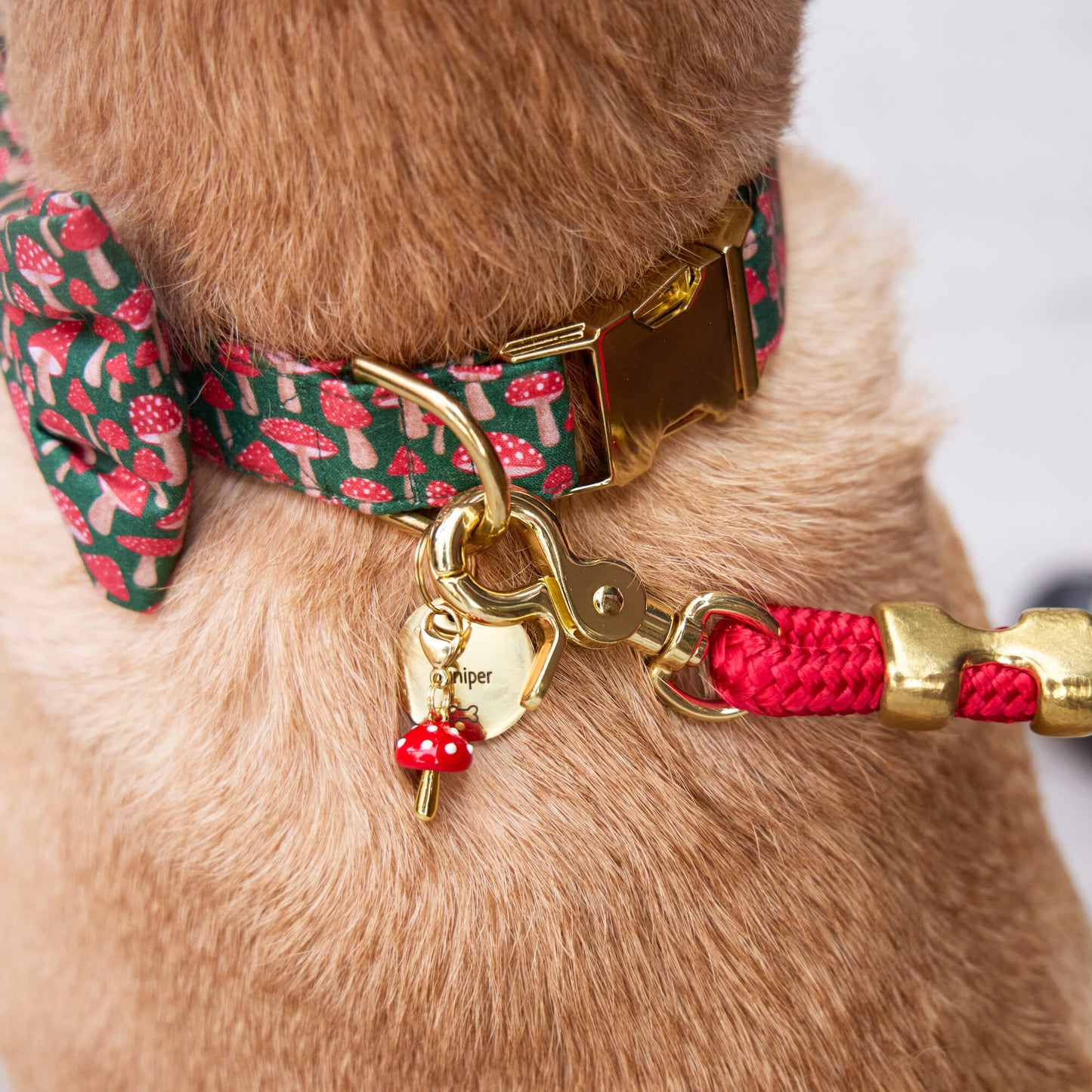 Toadstool Collar Charm by The Foggy Dog
