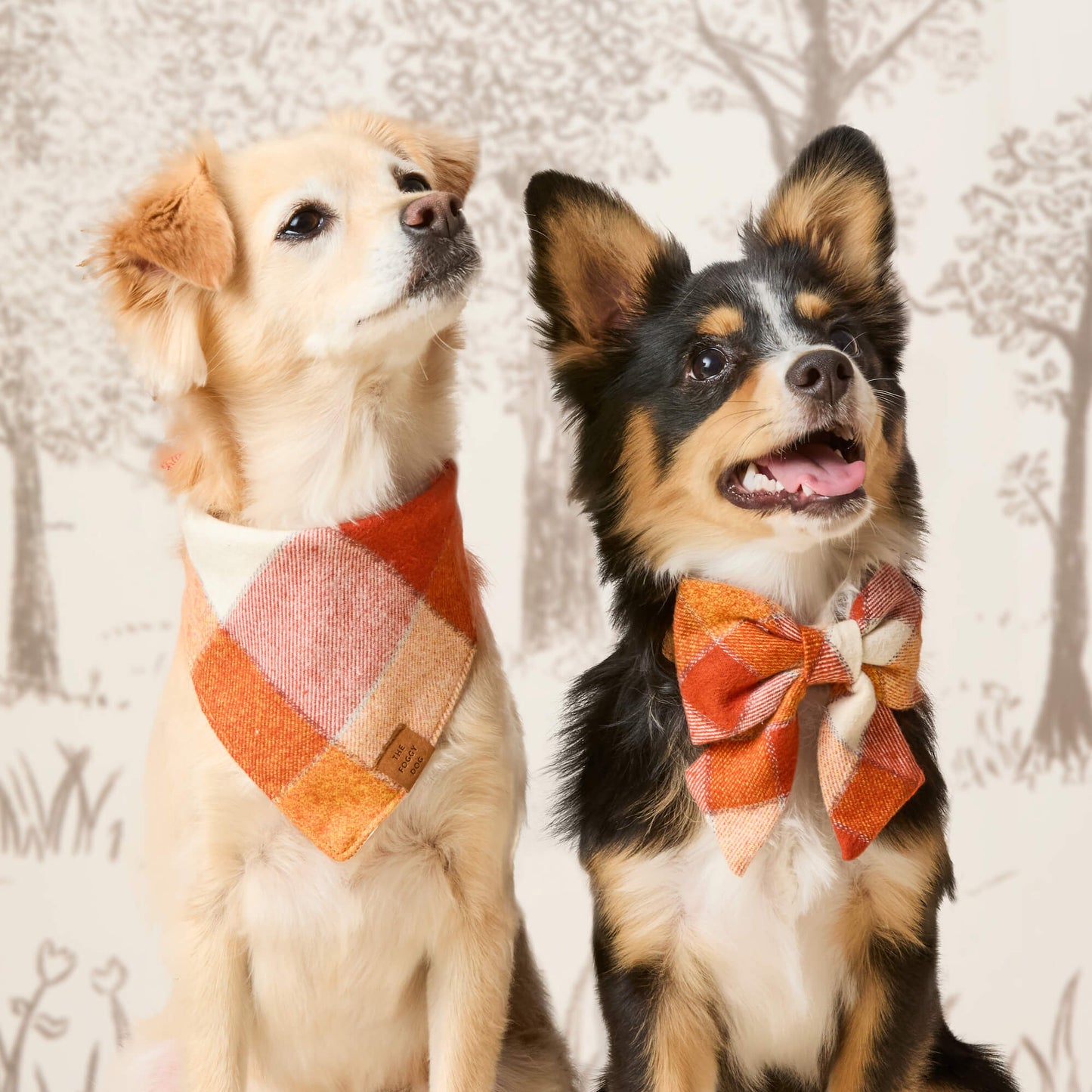 Pumpkin Spice Plaid Flannel Dog Bandana by The Foggy Dog