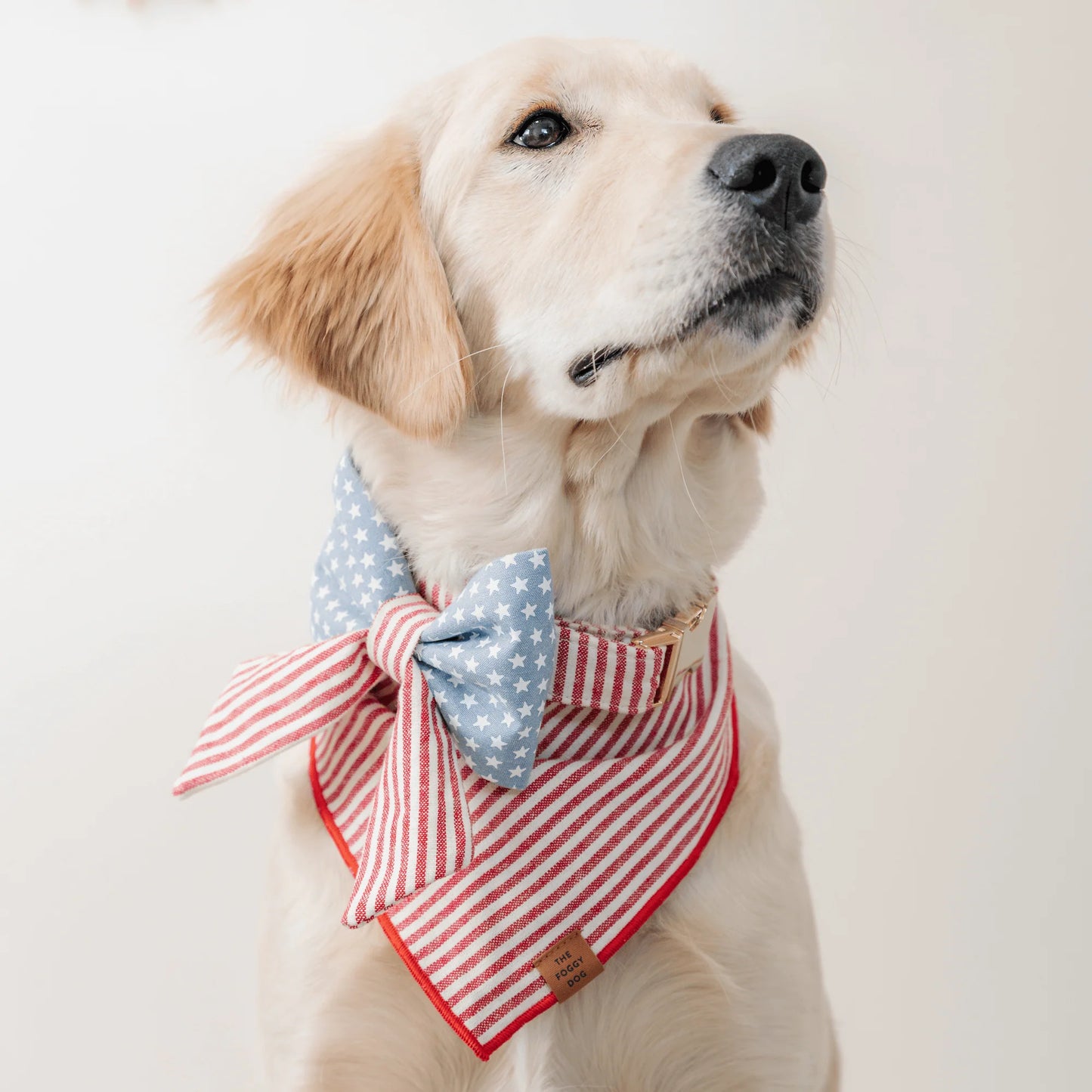 Stars & Stripes Lady Dog Bow by The Foggy Dog