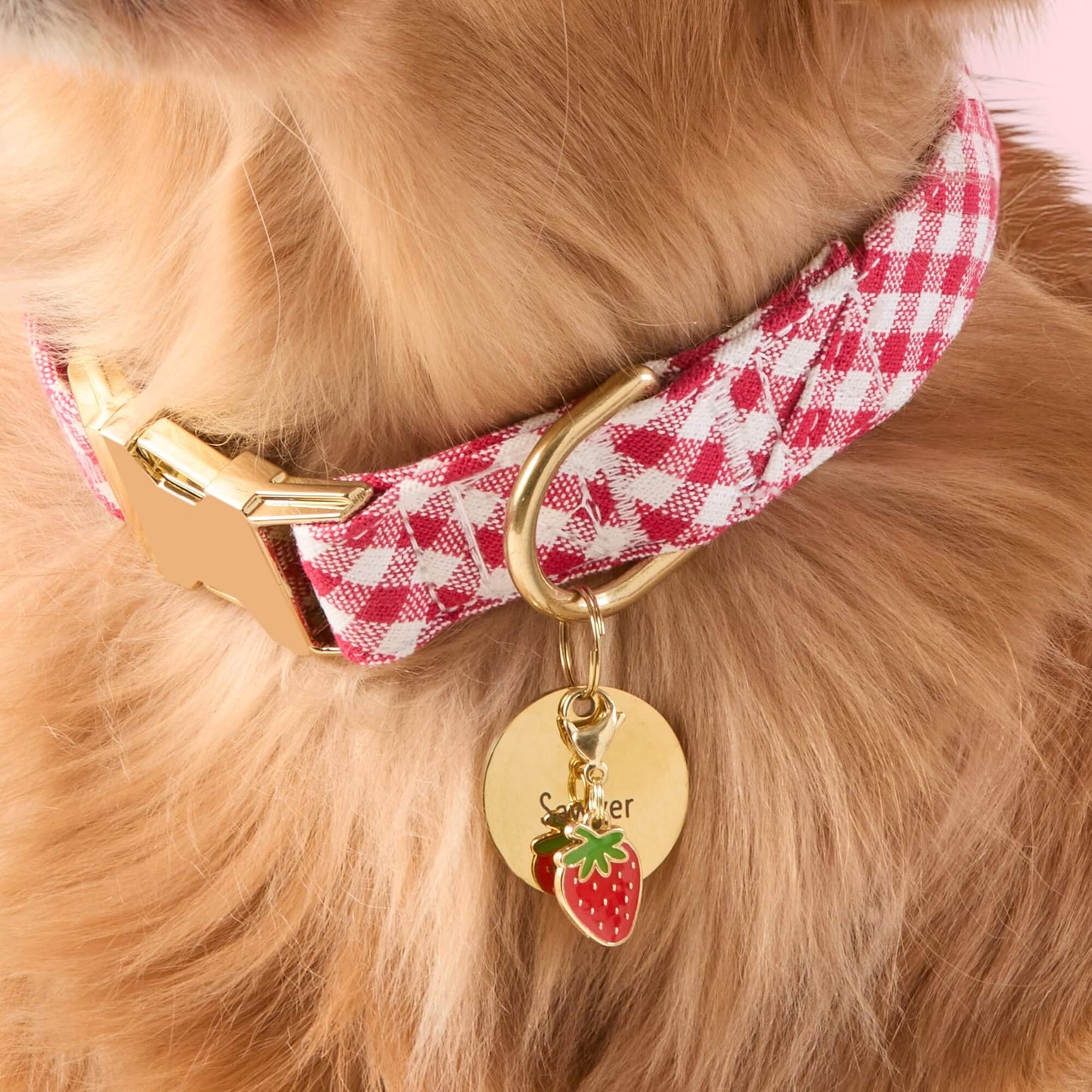 Strawberry Dog Collar Charm by The Foggy Dog