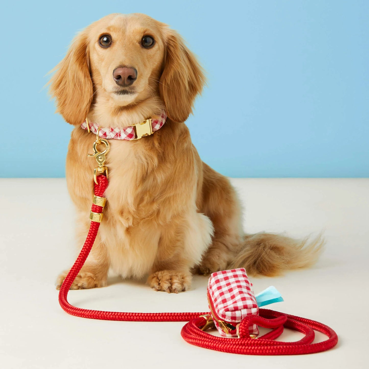 Red Gingham Waste Bag Holder by The Foggy Dog