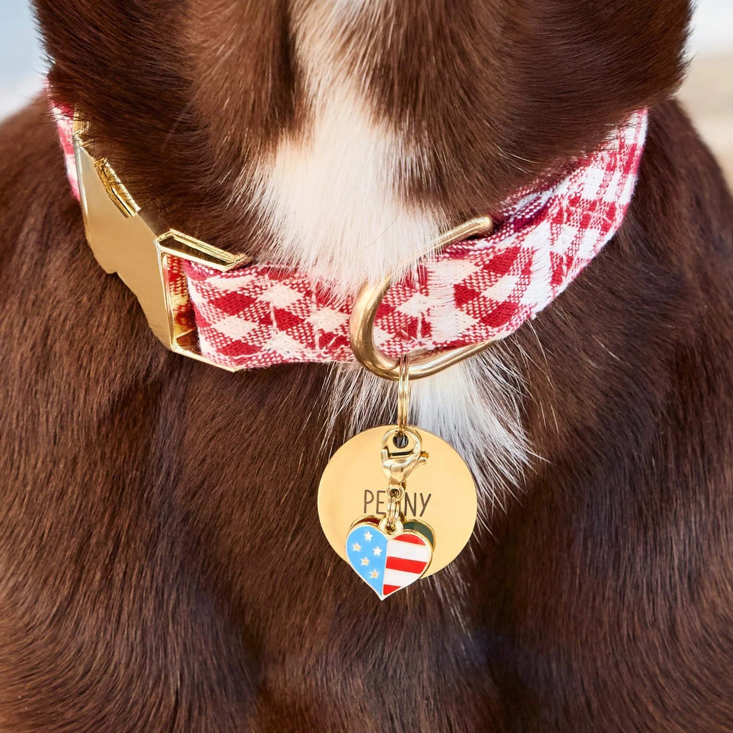 I Heart America Dog Collar Charm by The Foggy Dog