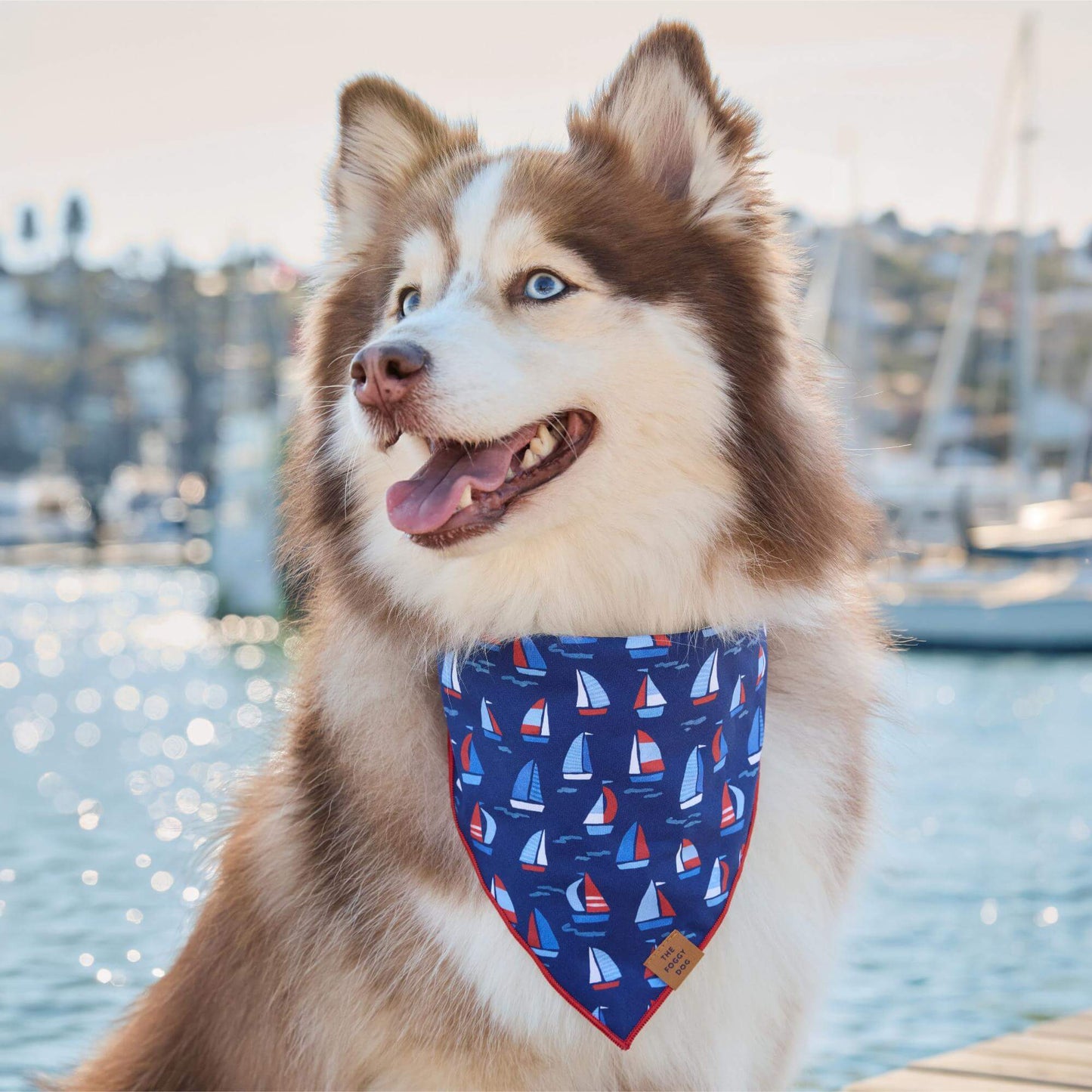 Regatta Dog Bandana by The Foggy Dog