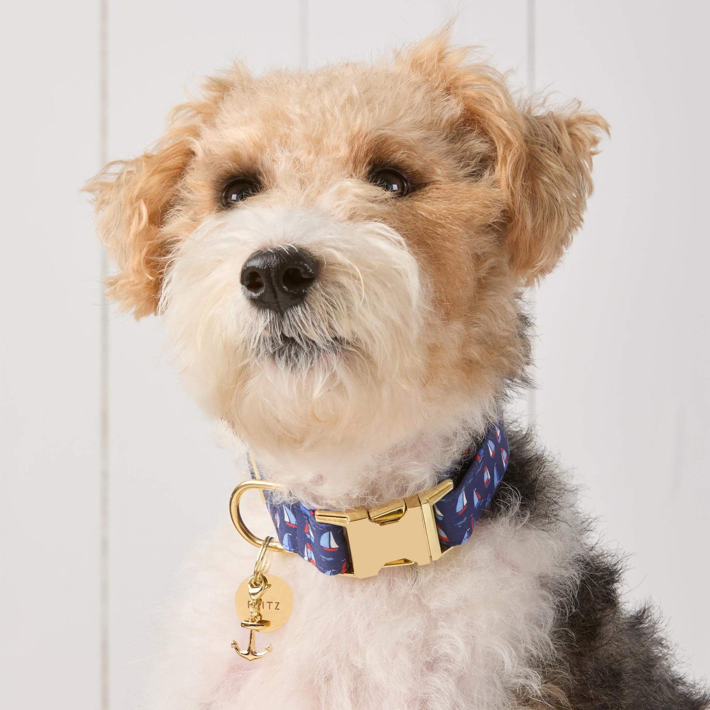Regatta Dog Collar by The Foggy Dog