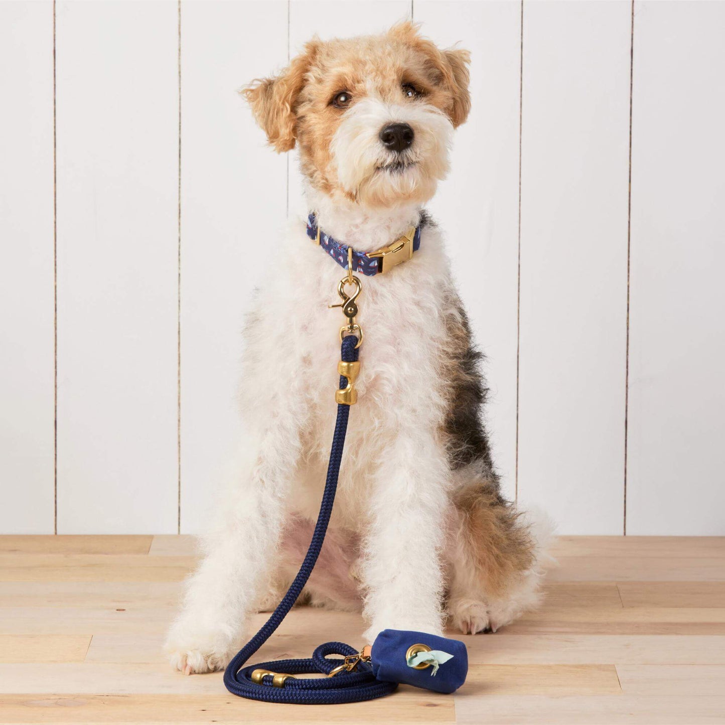Ocean Marine Rope Dog Leash by The Foggy Dog