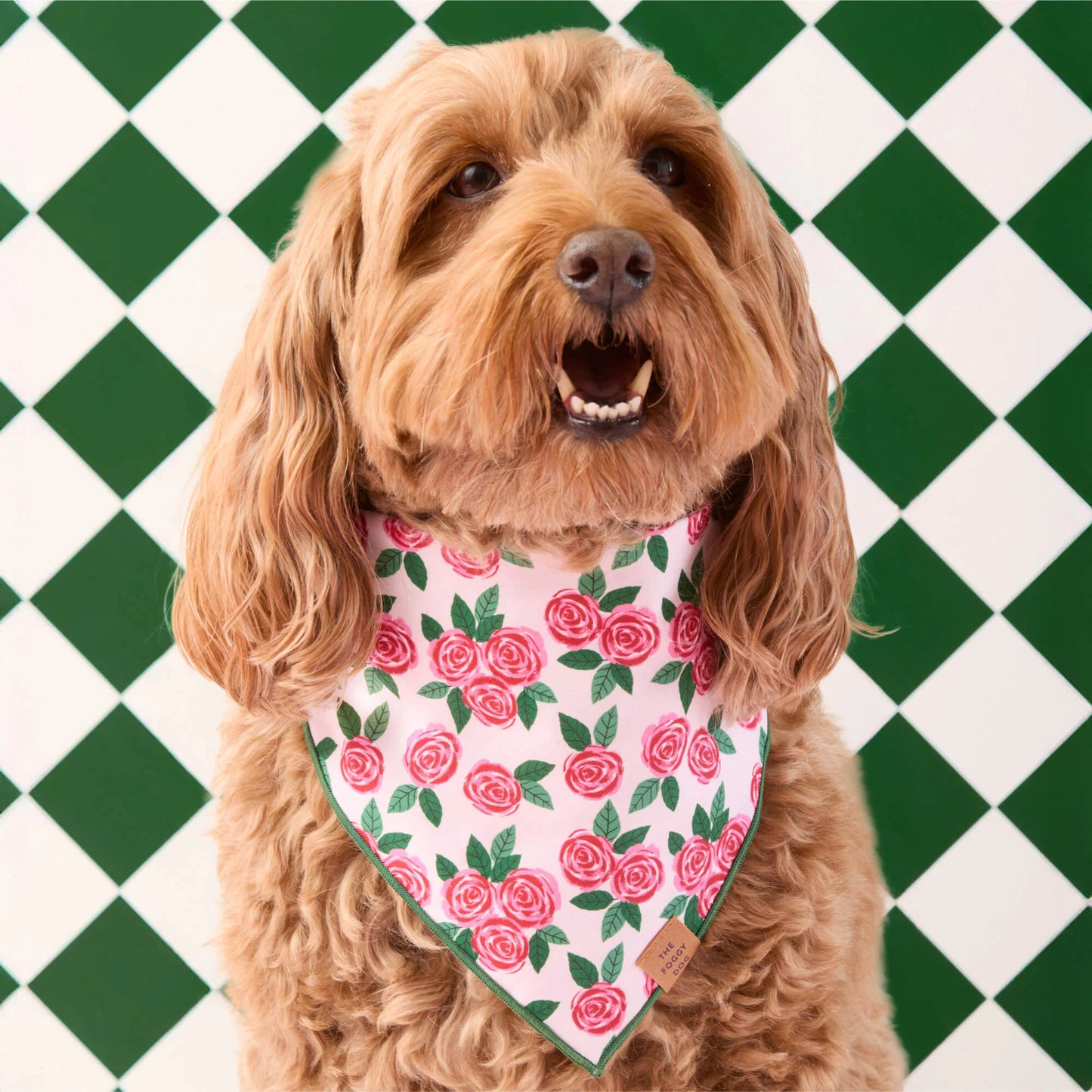 Rosette Dog Bandana by The Foggy Dog