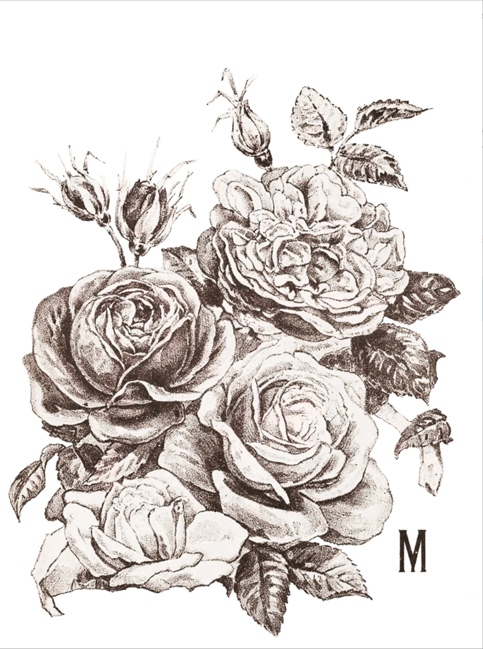 May's Roses IOD Transfer 12x16 Pad by Iron Orchid Designs
