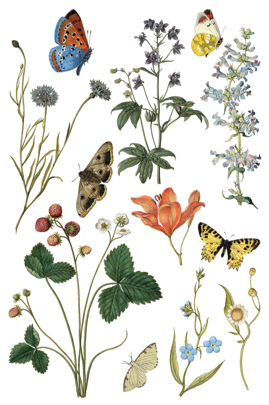 Wilde Bloemen IOD Transfer 8x12 Pad by Iron Orchid Designs