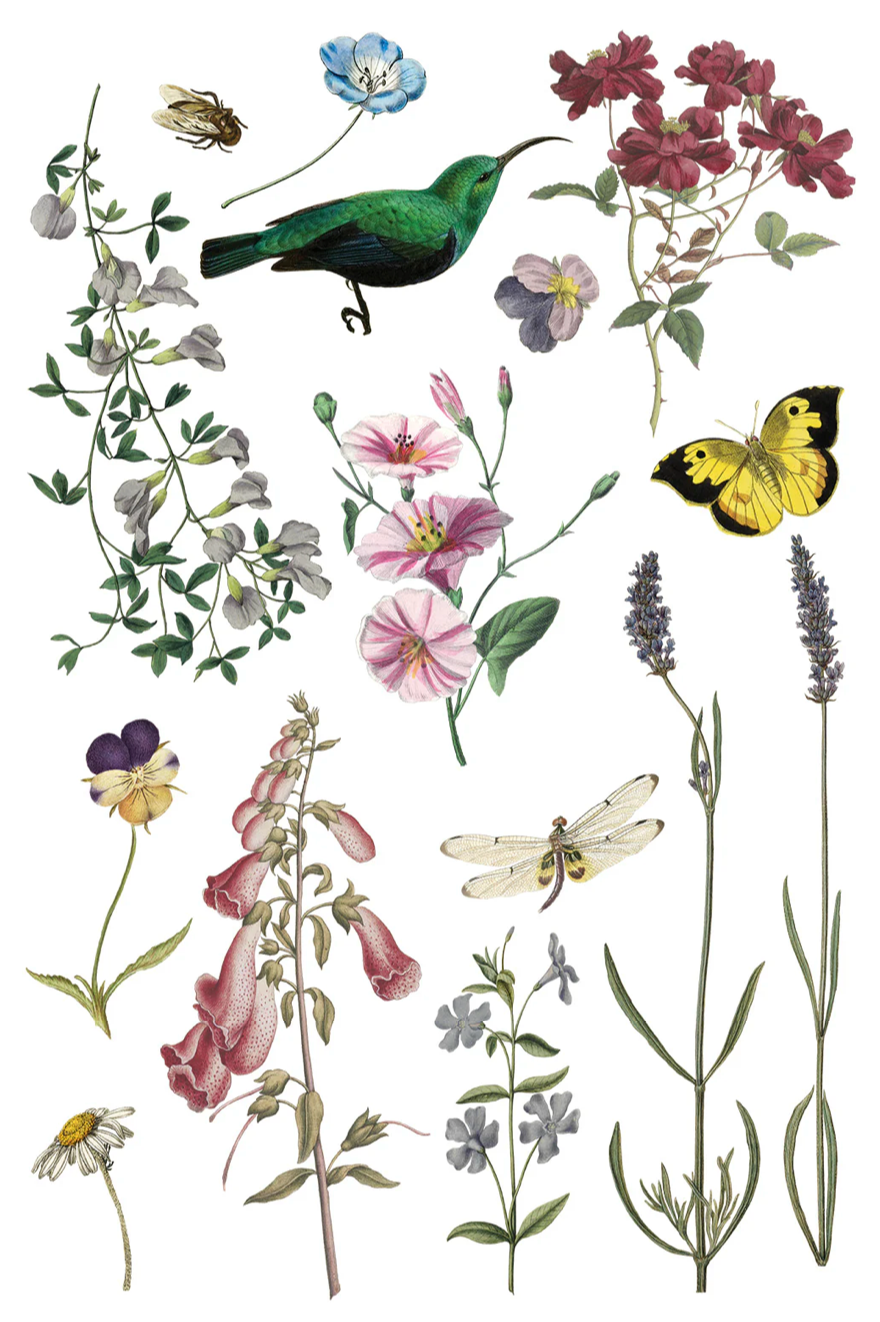 Wilde Bloemen IOD Transfer 8x12 Pad by Iron Orchid Designs