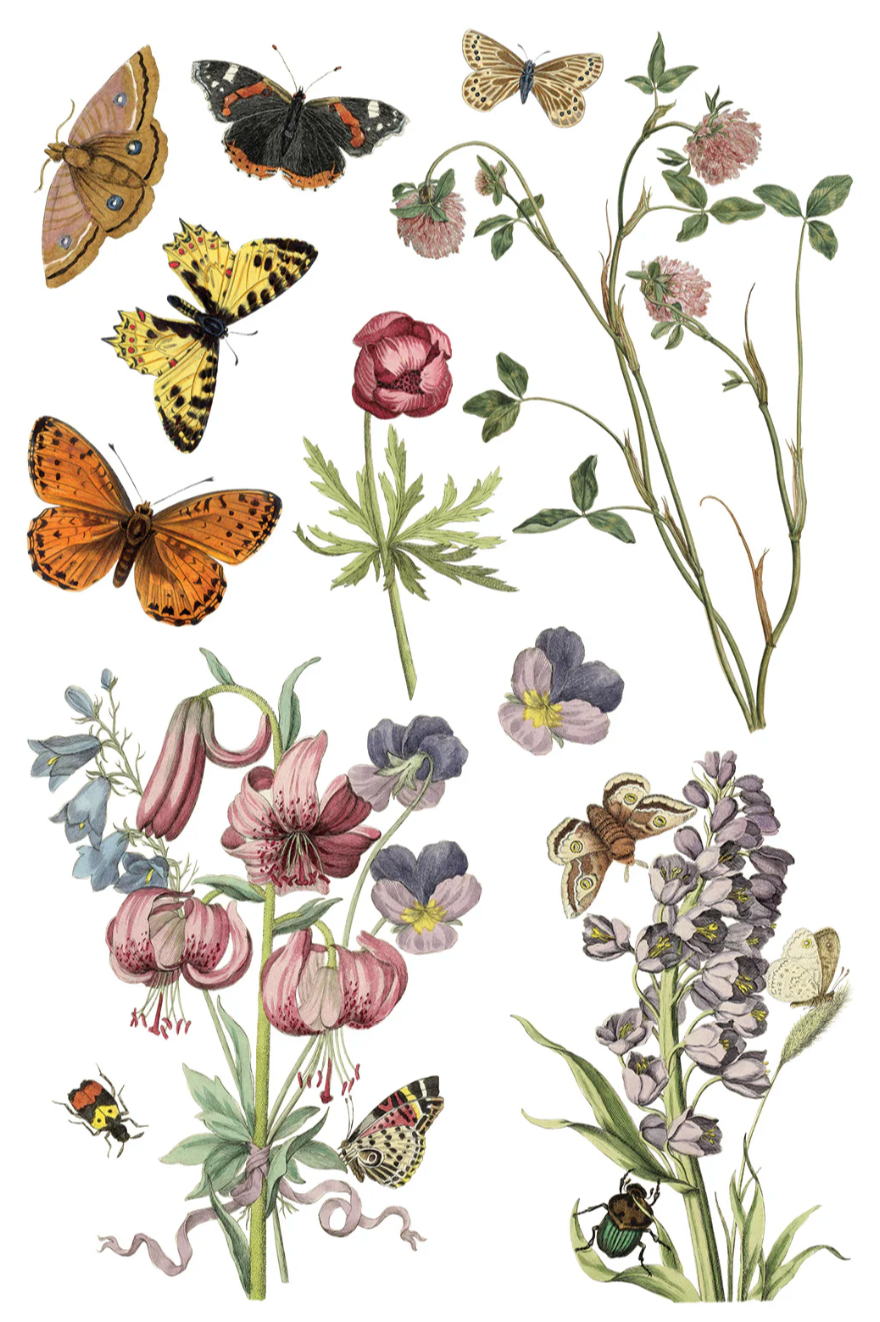 Wilde Bloemen IOD Transfer 8x12 Pad by Iron Orchid Designs