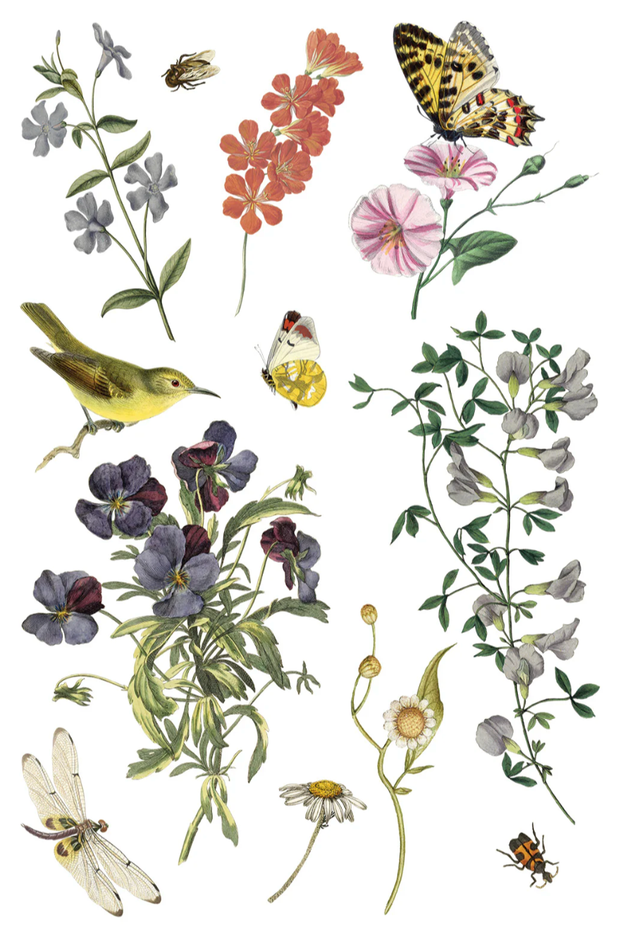Wilde Bloemen IOD Transfer 8x12 Pad by Iron Orchid Designs