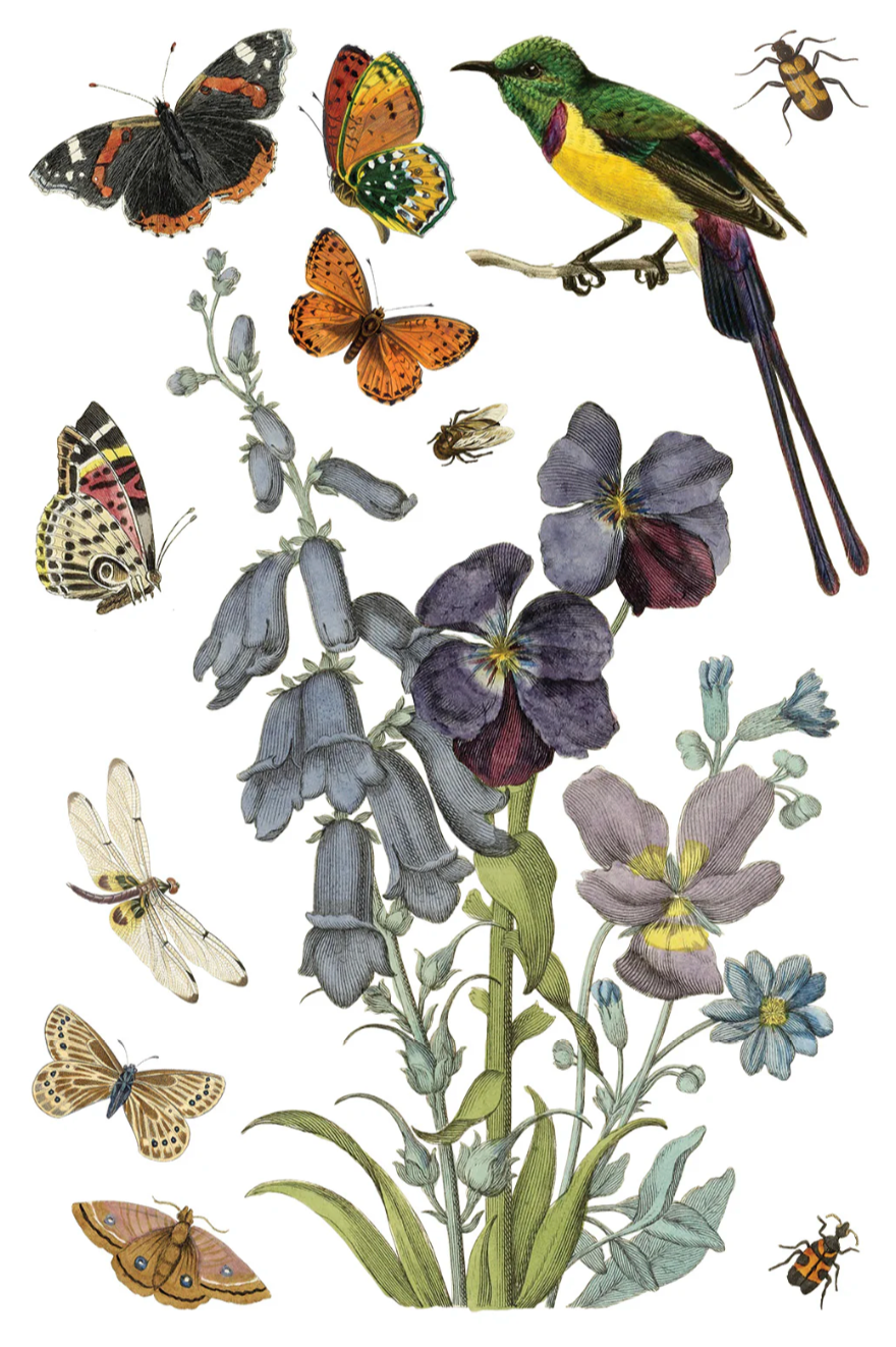 Wilde Bloemen IOD Transfer 8x12 Pad by Iron Orchid Designs