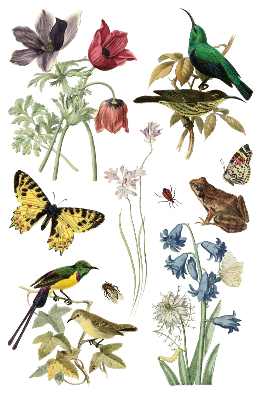 Wilde Bloemen IOD Transfer 8x12 Pad by Iron Orchid Designs