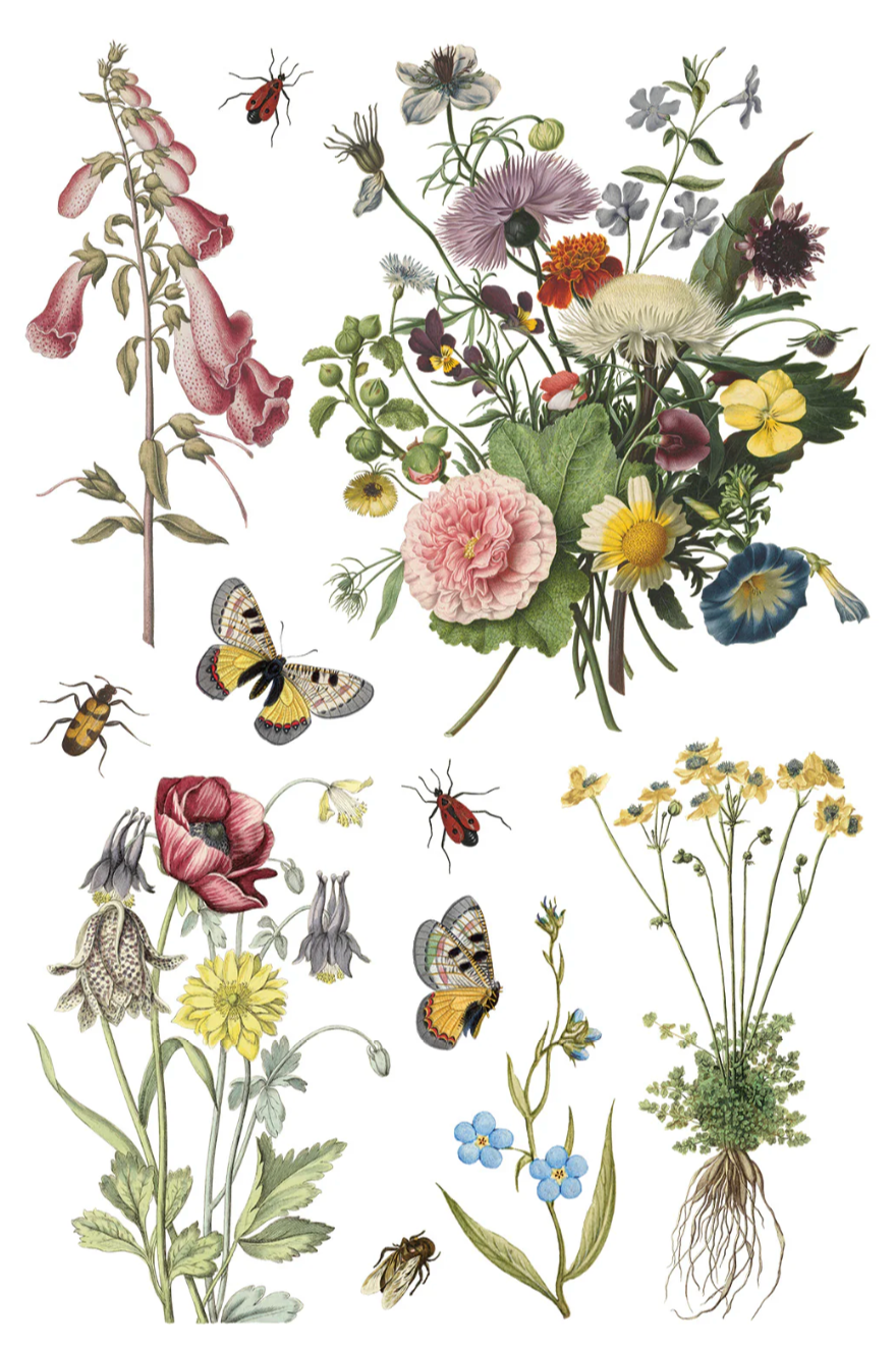 Wilde Bloemen IOD Transfer 8x12 Pad by Iron Orchid Designs