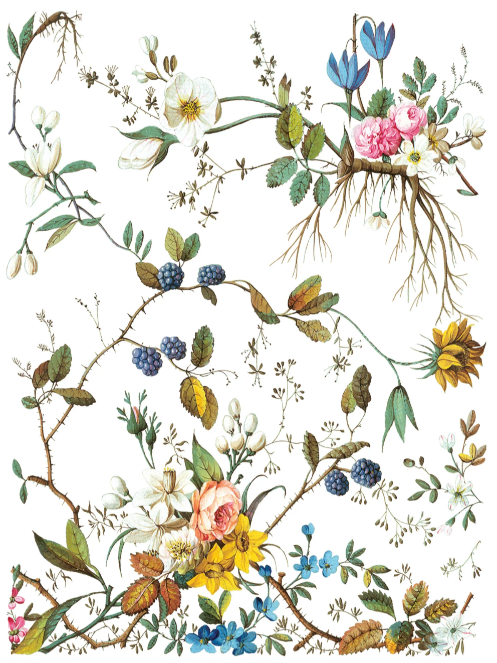 Lost Garden IOD Transfer 12x16 Pad by Iron Orchid Designs