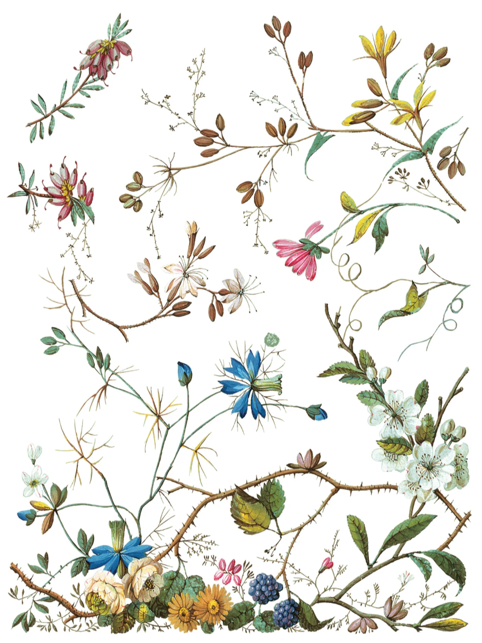 Lost Garden IOD Transfer 12x16 Pad by Iron Orchid Designs