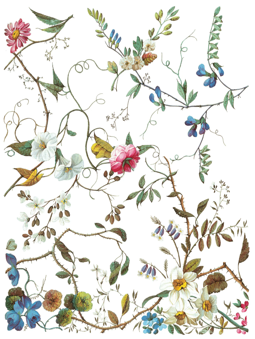 Lost Garden IOD Transfer 12x16 Pad by Iron Orchid Designs