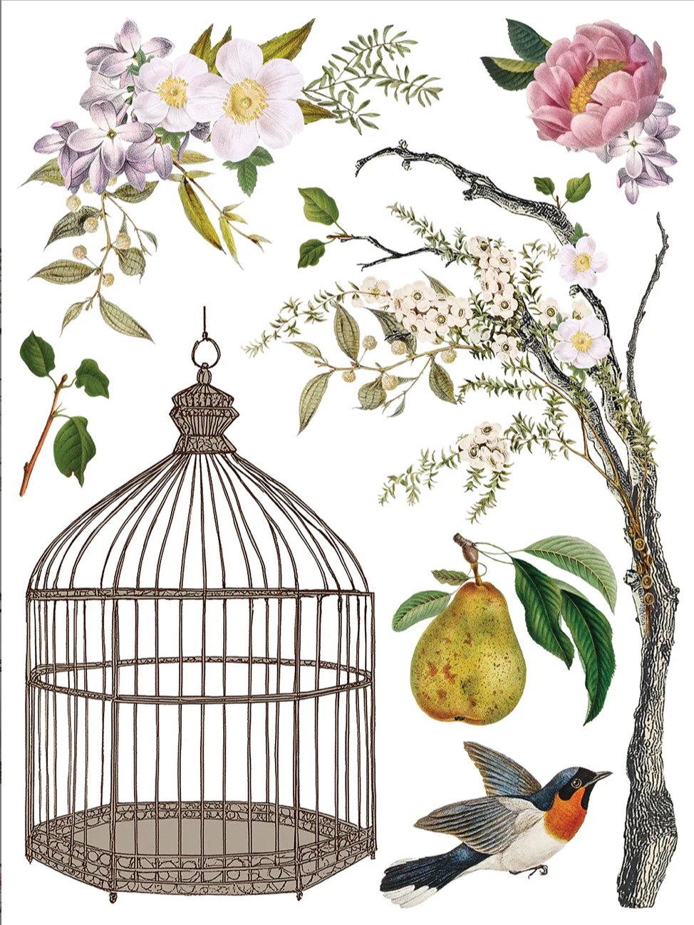 Menagerie IOD Transfer 12x16 Pad by Iron Orchid Designs