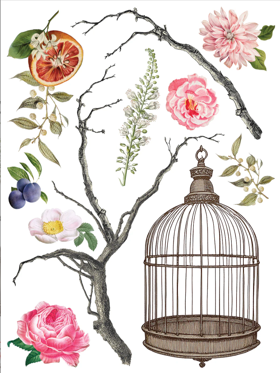 Menagerie IOD Transfer 12x16 Pad by Iron Orchid Designs