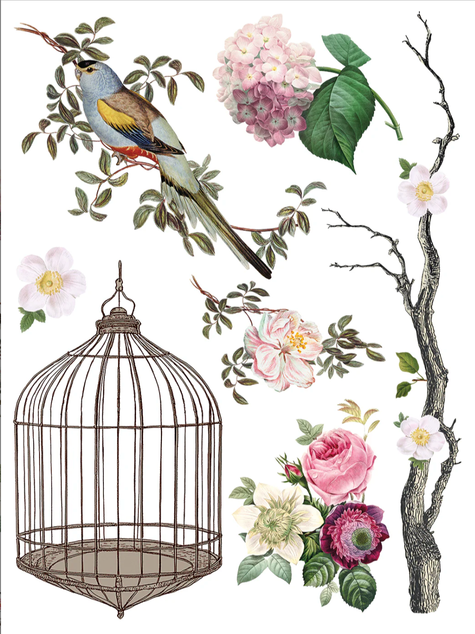 Menagerie IOD Transfer 12x16 Pad by Iron Orchid Designs