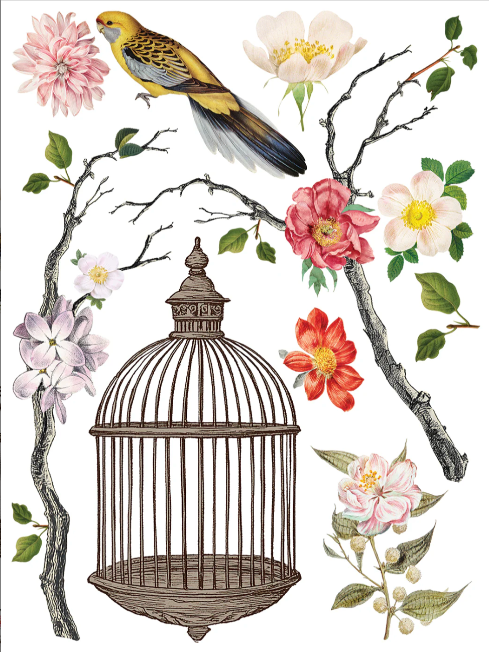 Menagerie IOD Transfer 12x16 Pad by Iron Orchid Designs