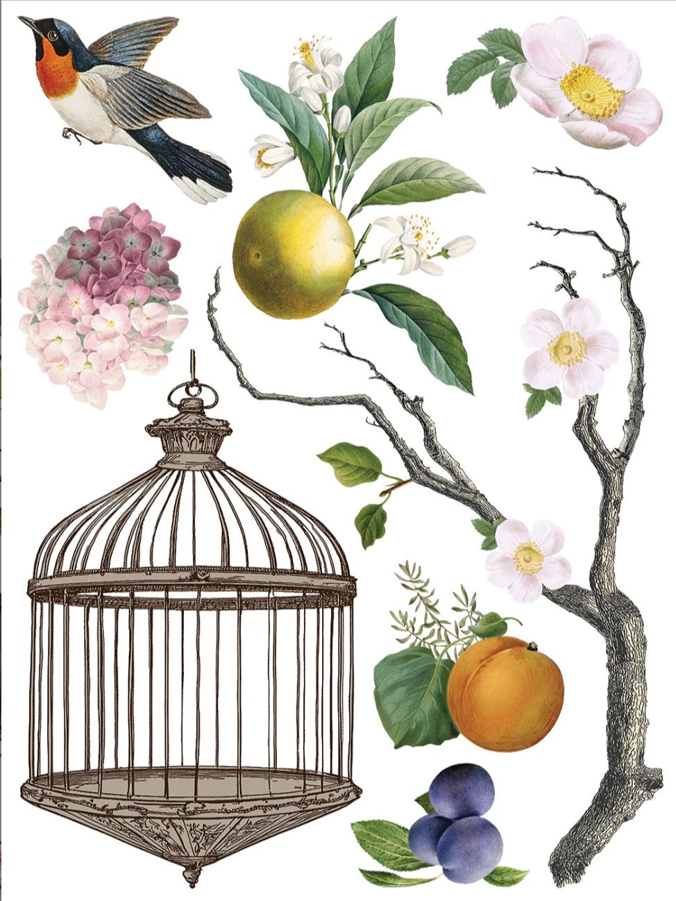 Menagerie IOD Transfer 12x16 Pad by Iron Orchid Designs