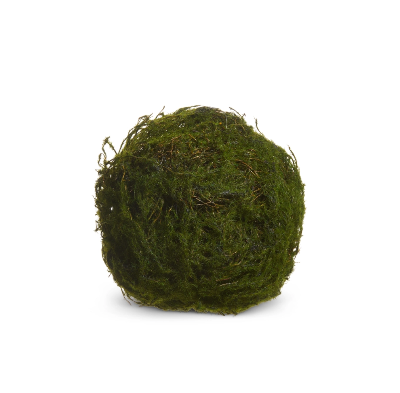 6" Moss Ball