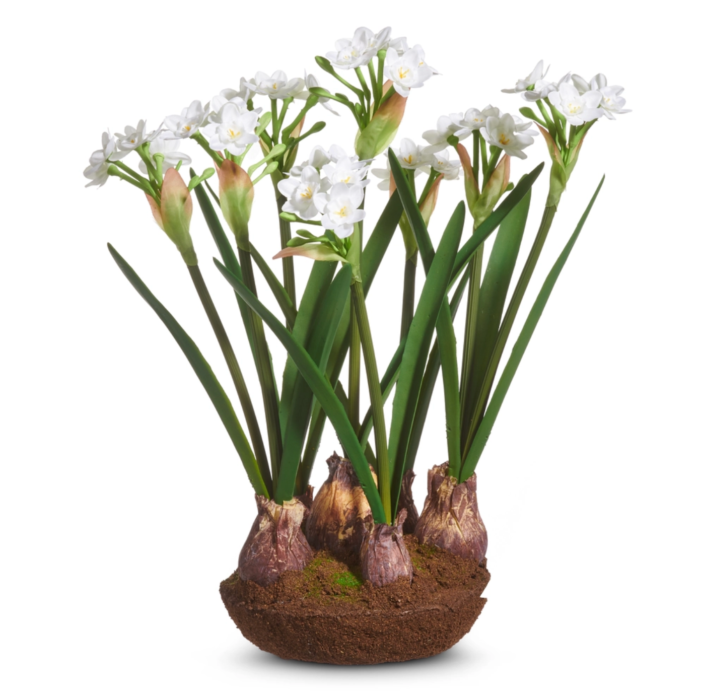 15" Narcissus Drop In