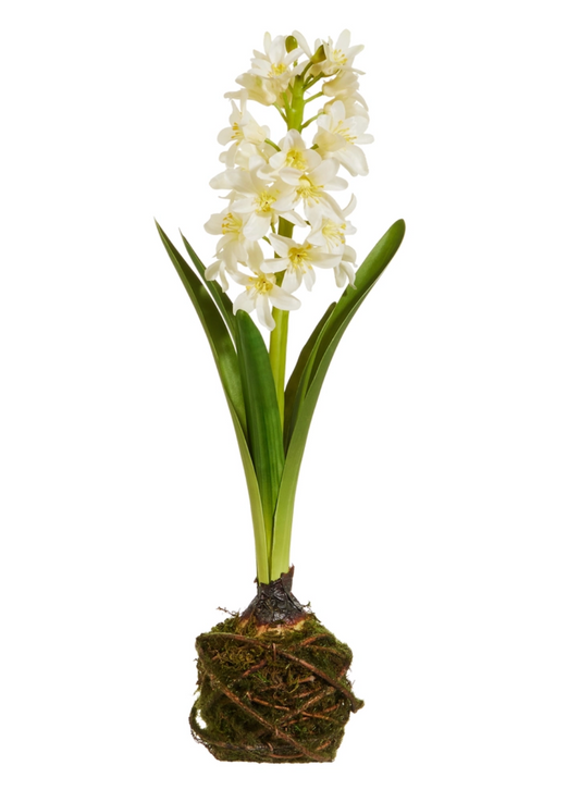 15" White Hyacinth Drop In