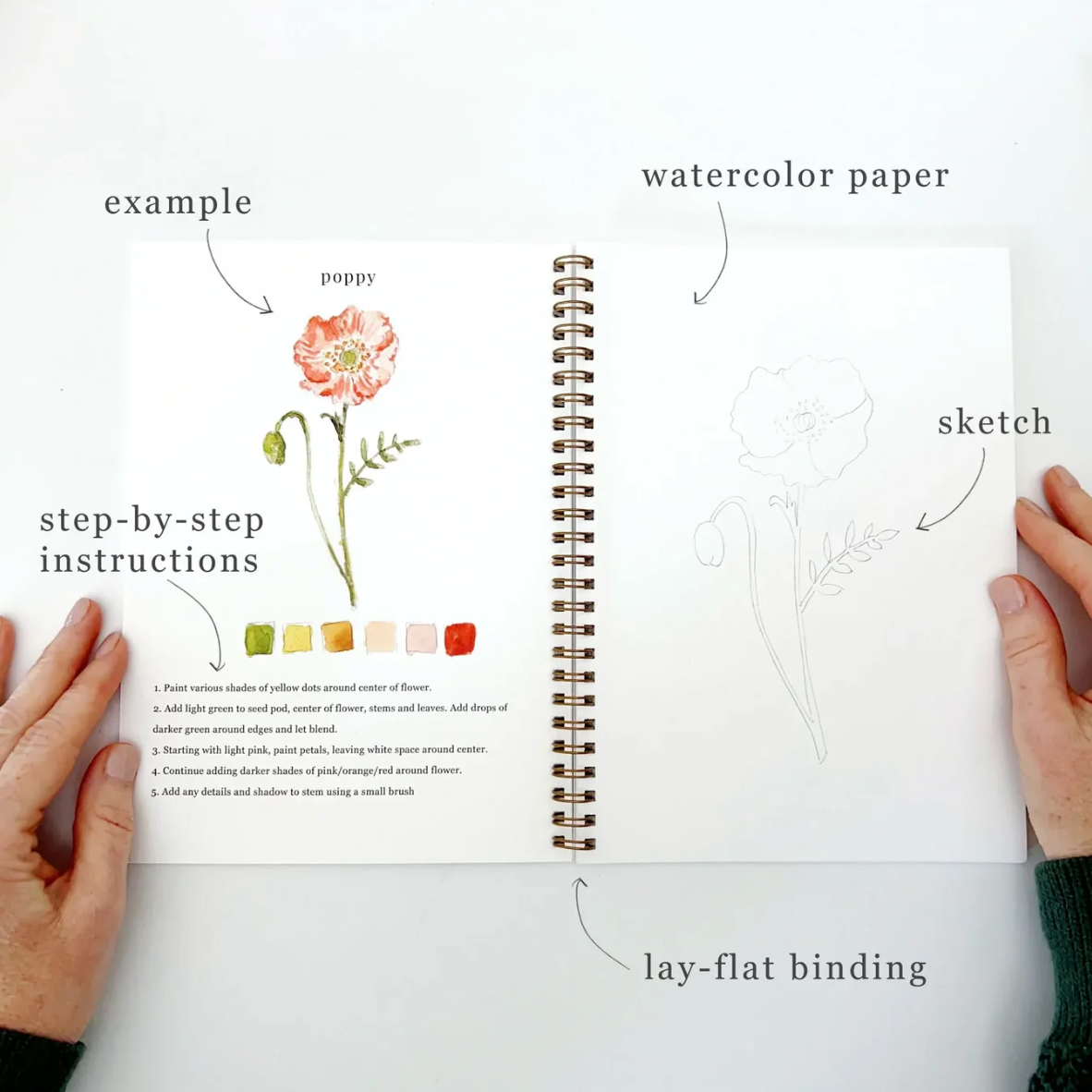 Flowers Watercolor Workbook by Emily Lex Studio