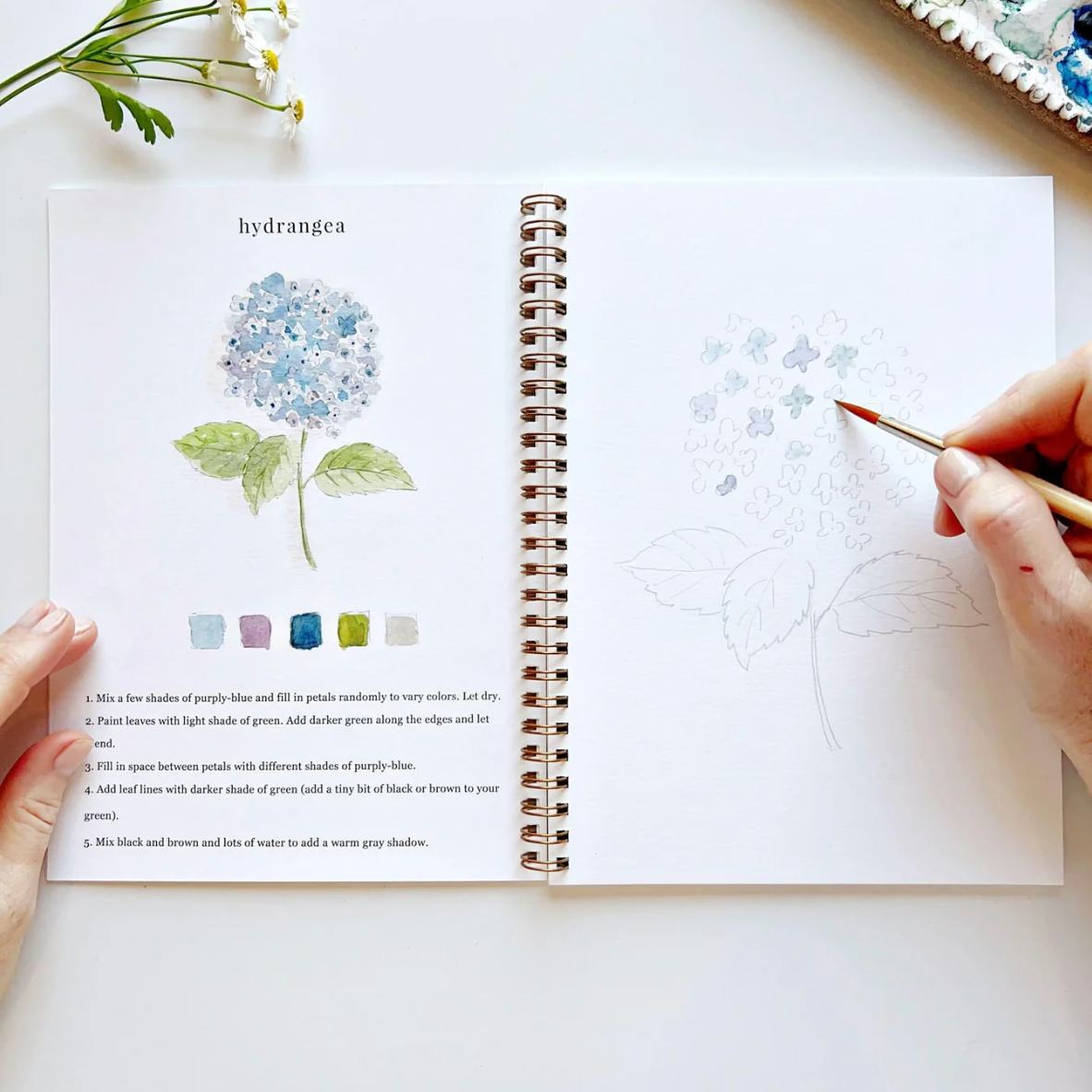 Flowers Watercolor Workbook by Emily Lex Studio