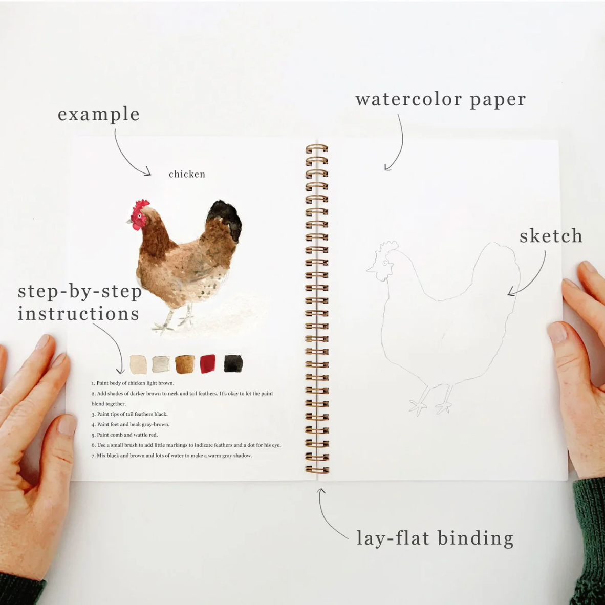 Animals Watercolor Workbook by Emily Lex Studio