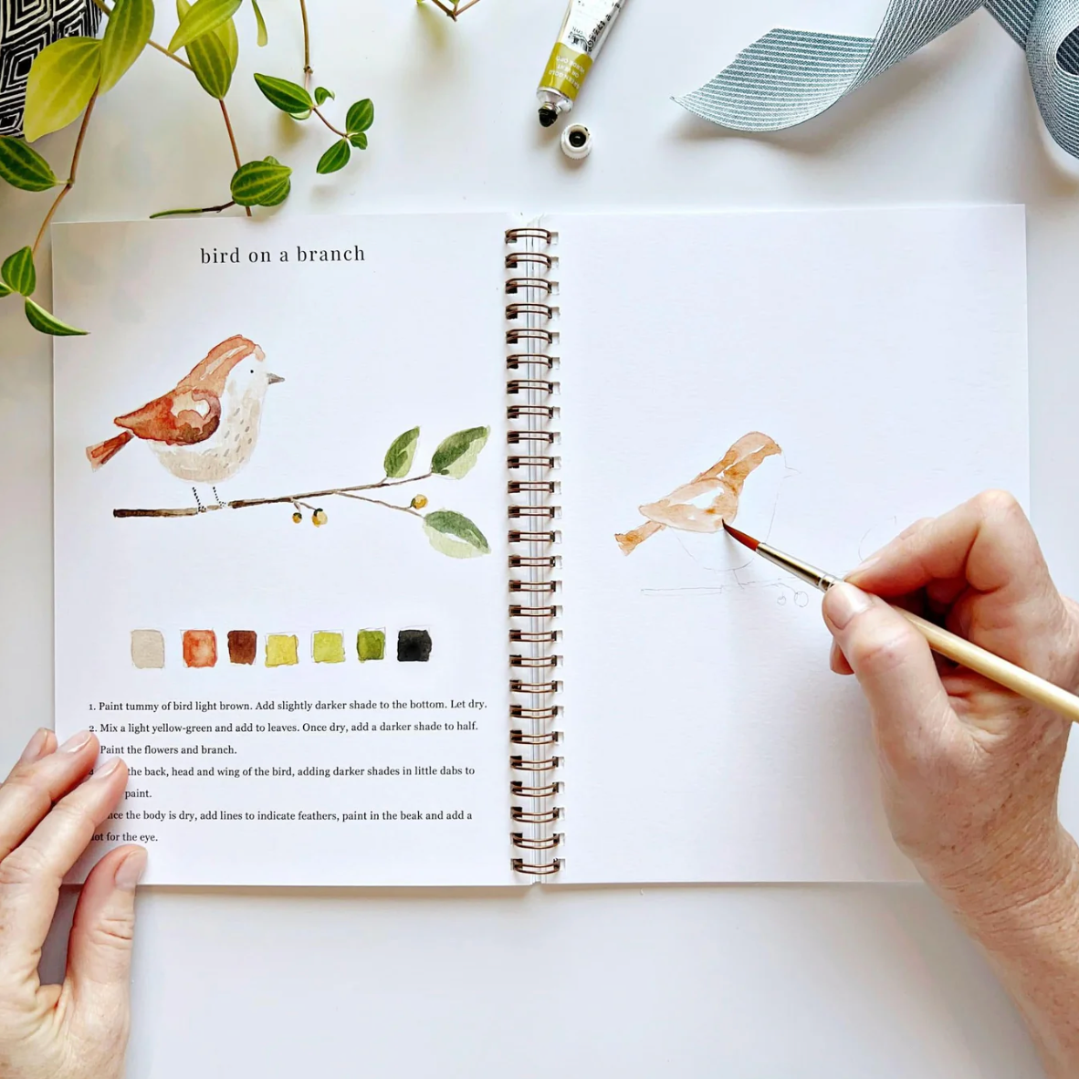 Animals Watercolor Workbook by Emily Lex Studio