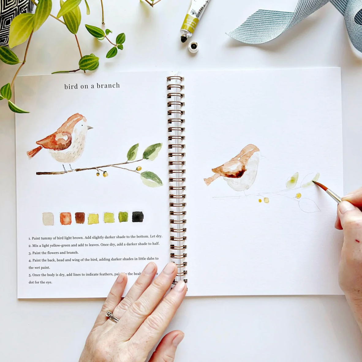 Animals Watercolor Workbook by Emily Lex Studio