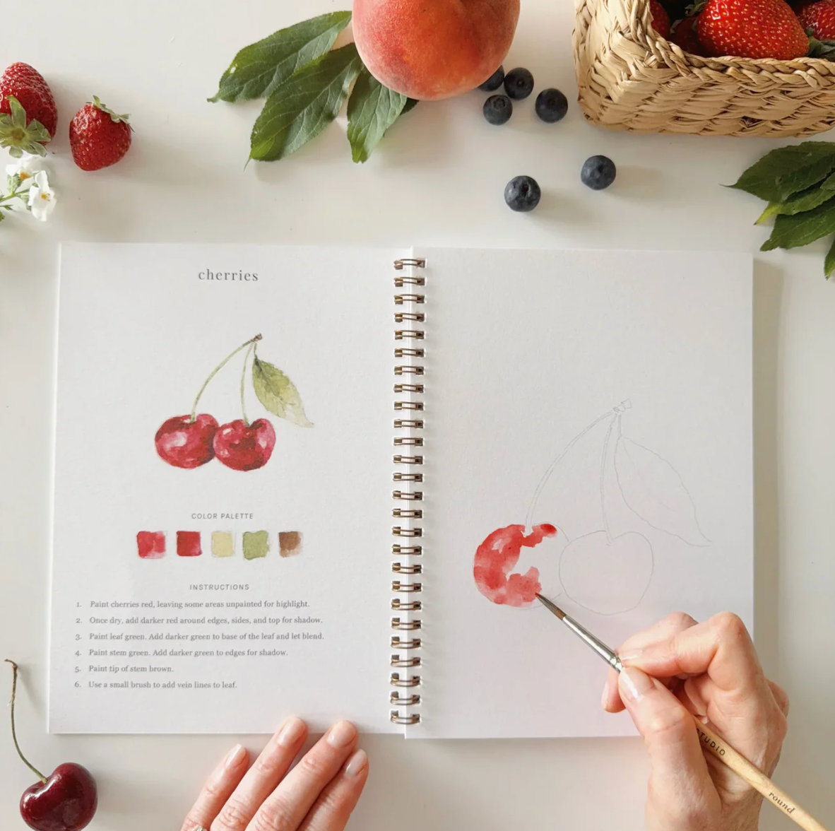 Fruit Watercolor Workbook by Emily Lex Studio