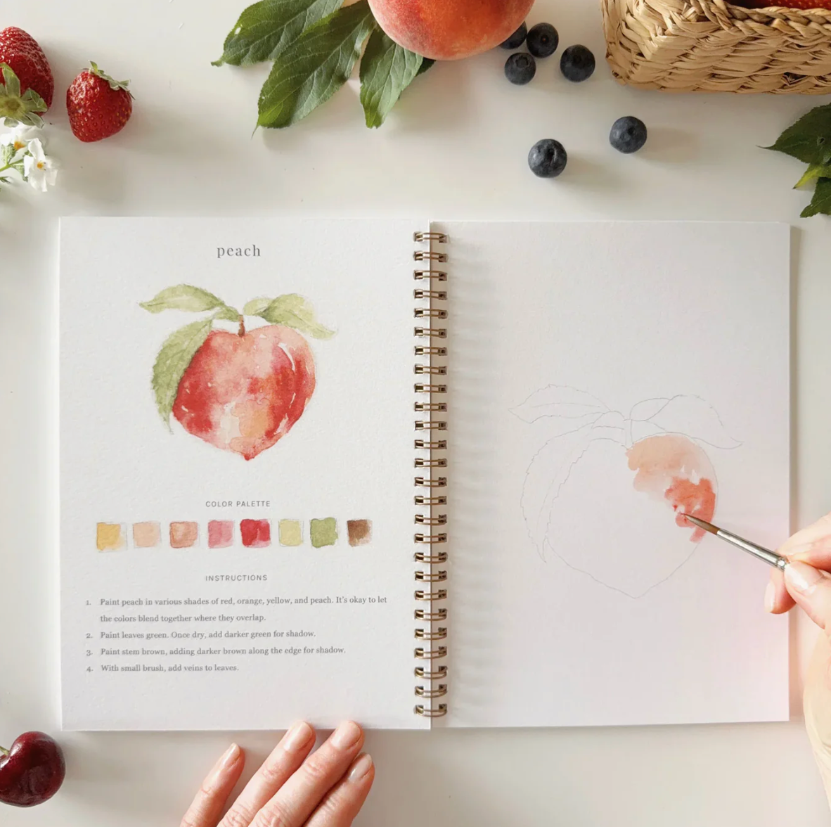 Fruit Watercolor Workbook by Emily Lex Studio