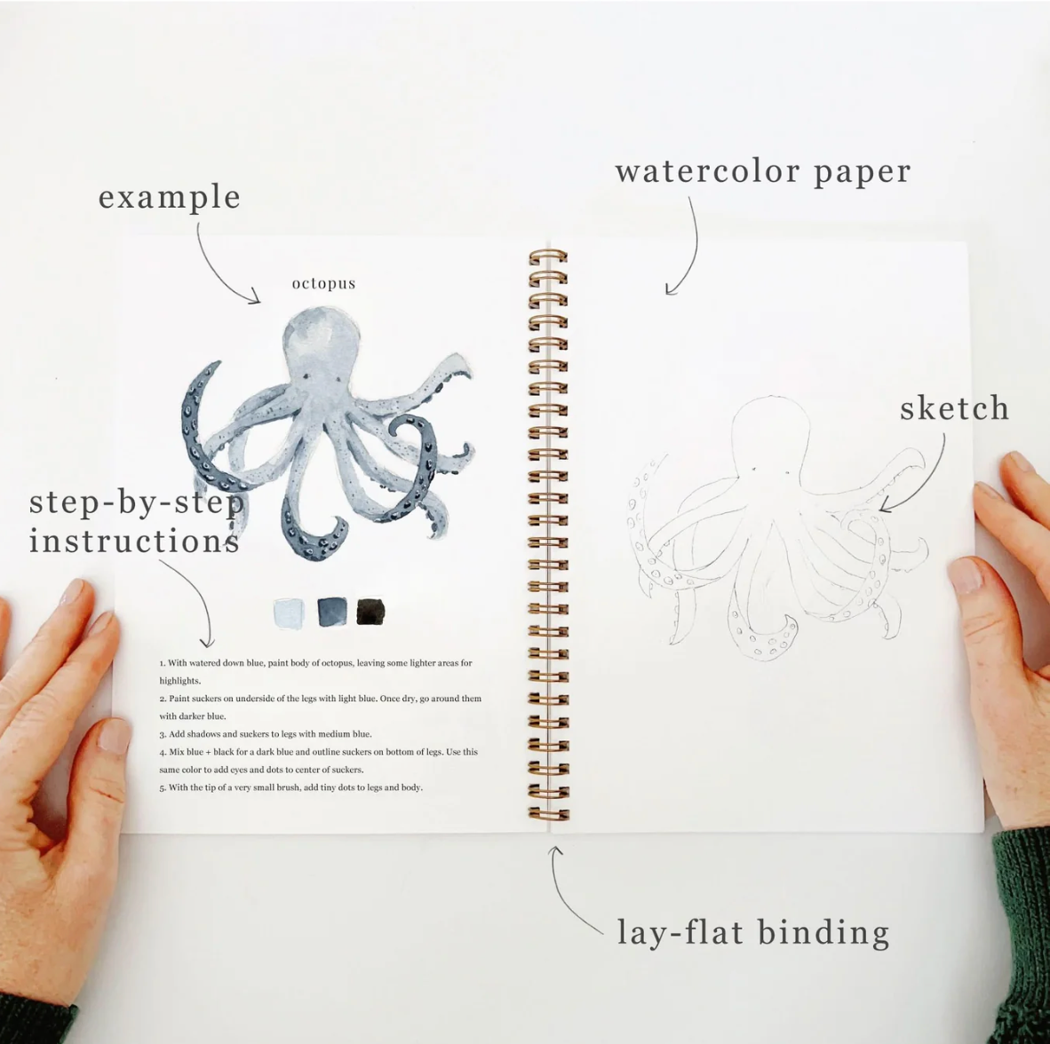 Seaside Watercolor Workbook by Emily Lex Studio