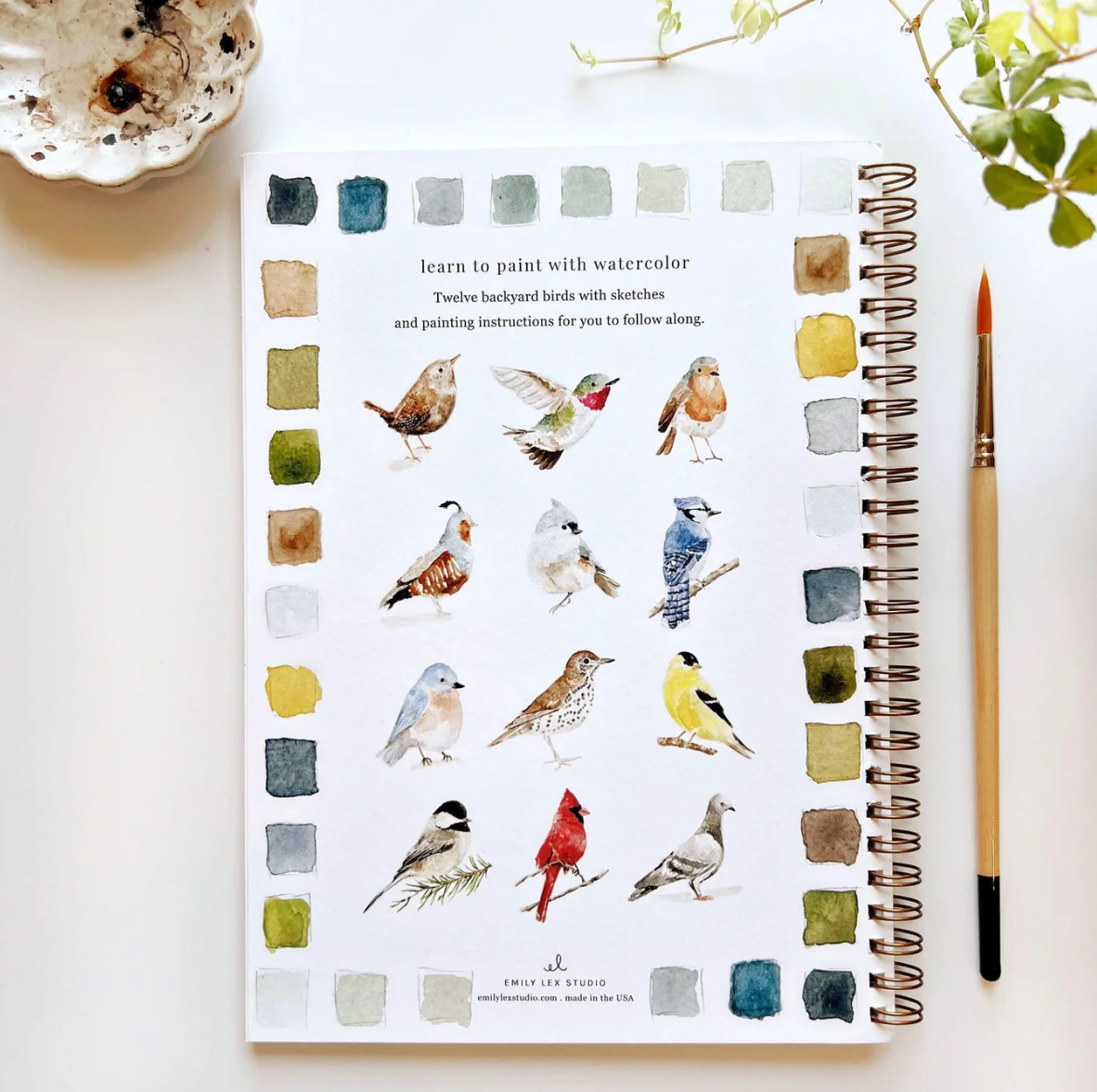 Birds Watercolor Workbook by Emily Lex Studio