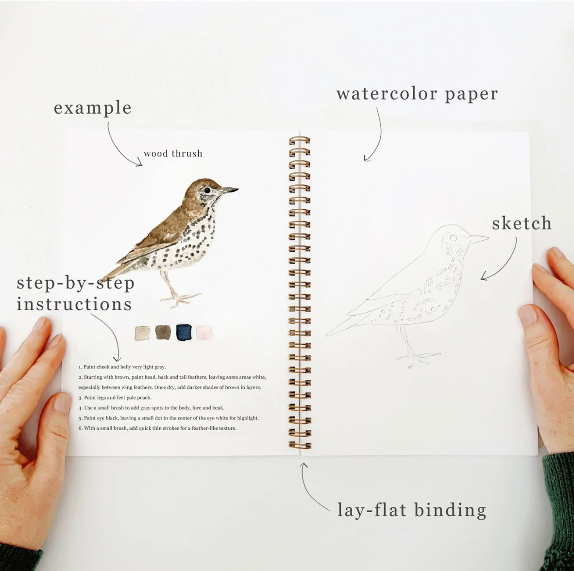 Birds Watercolor Workbook by Emily Lex Studio