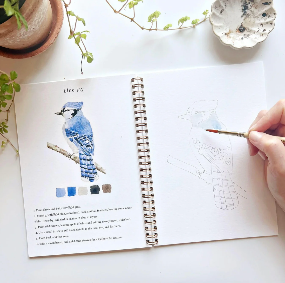 Birds Watercolor Workbook by Emily Lex Studio