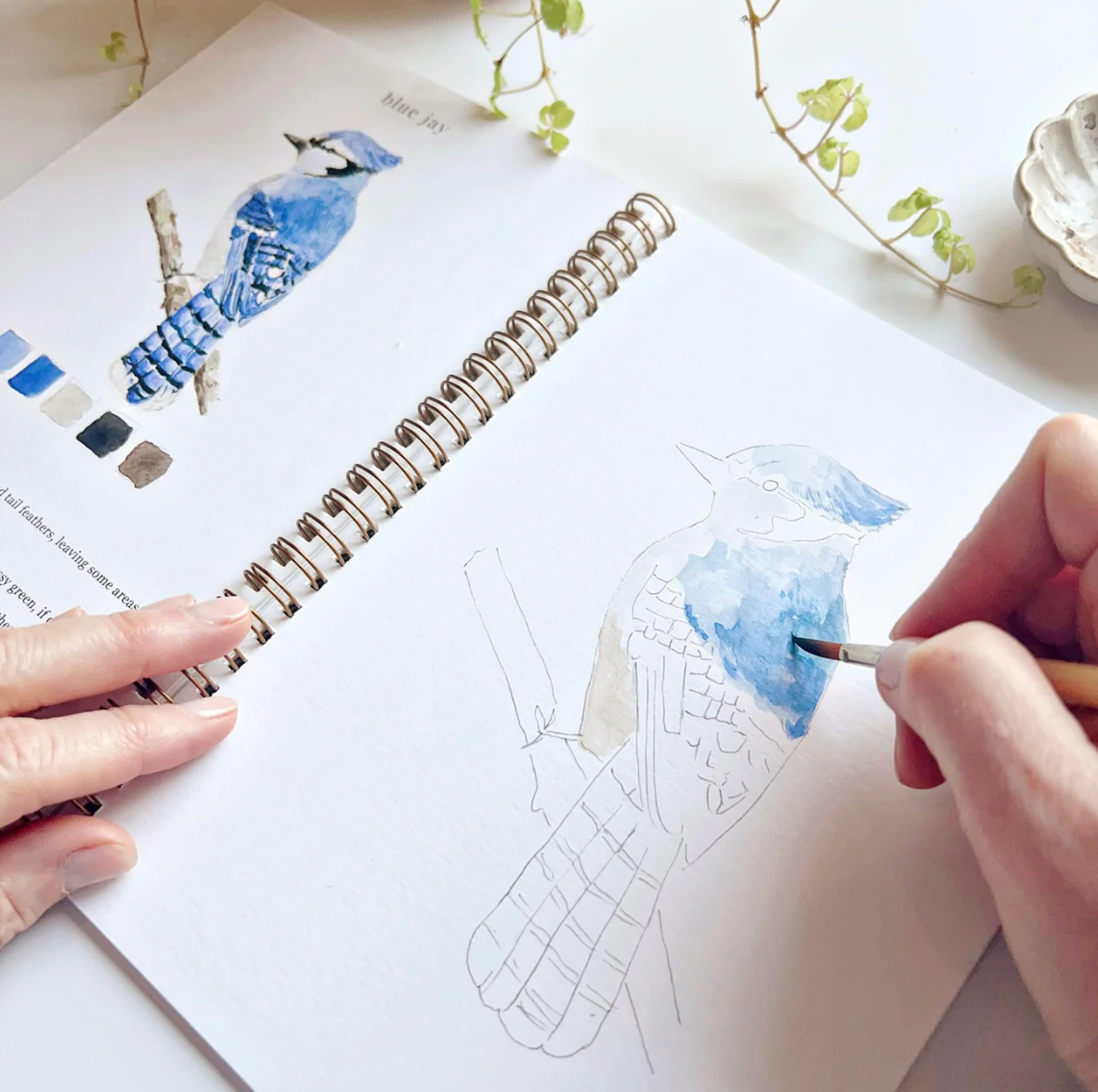Birds Watercolor Workbook by Emily Lex Studio