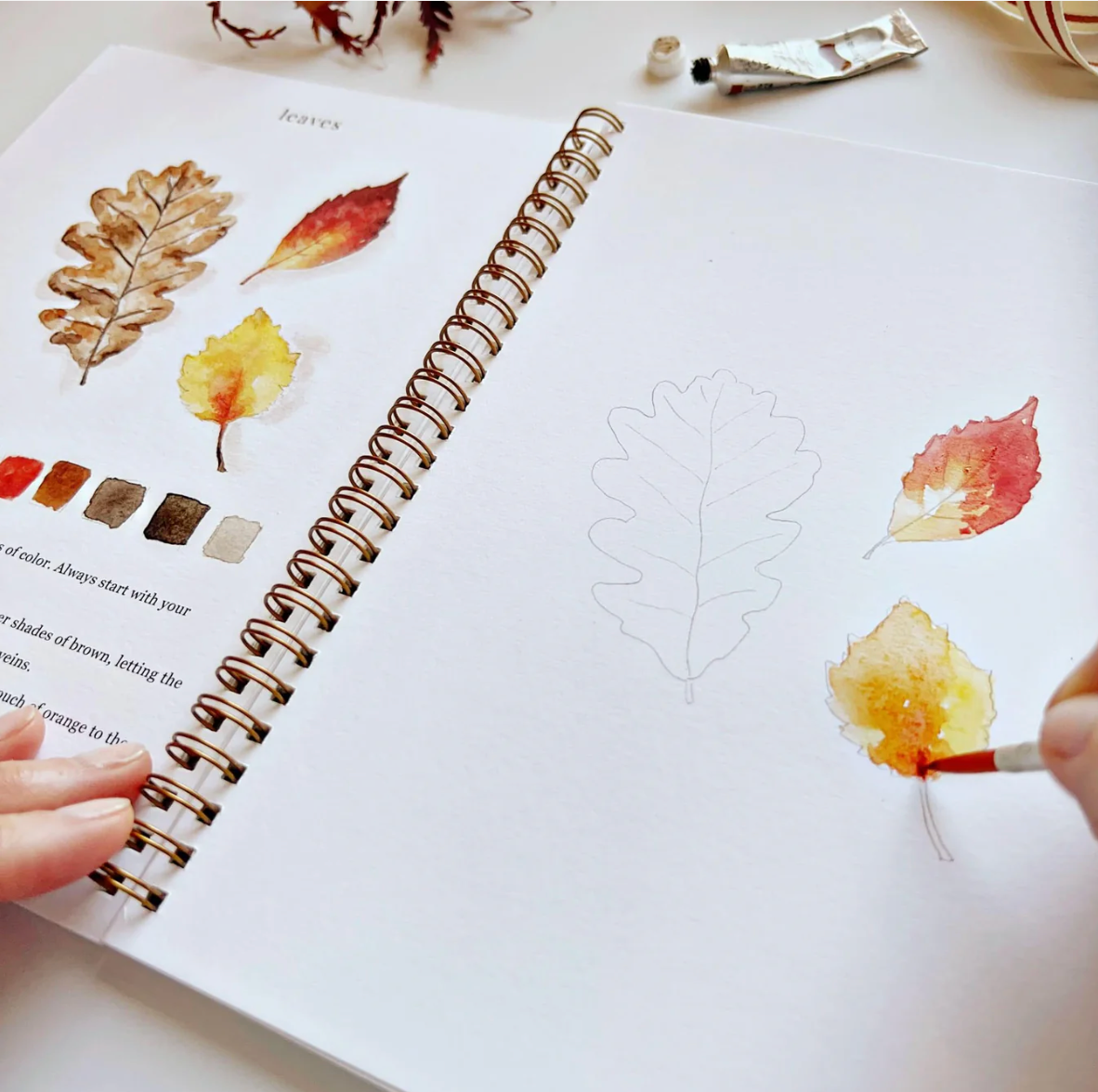 Autumn Watercolor Workbook by Emily Lex Studio