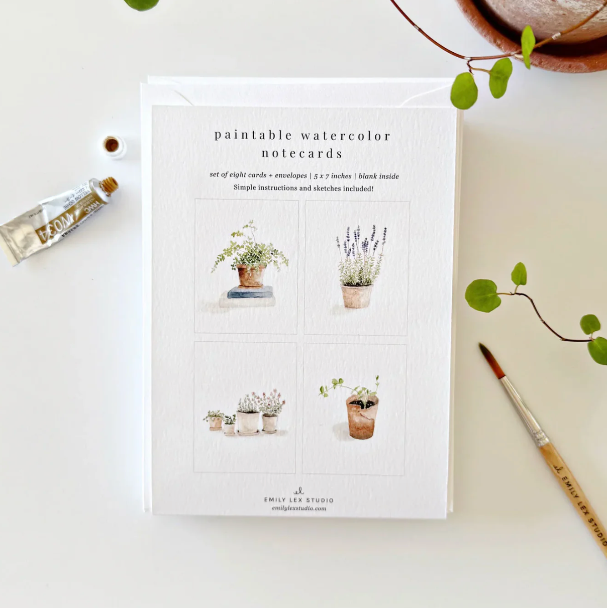 Potted Plants Paintable Watercolor Notecard Set by Emily Lex Studio